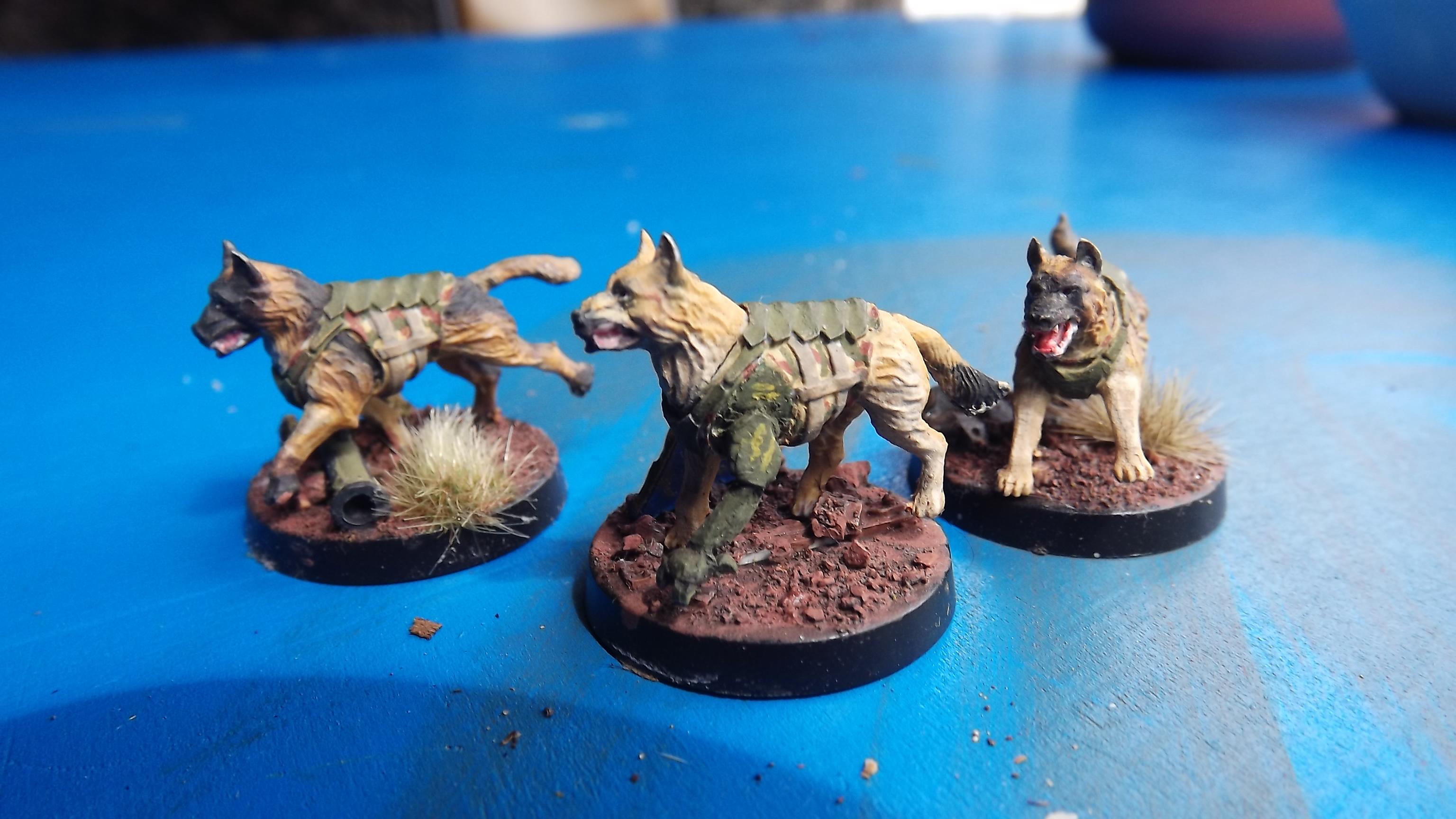 Anvil Industry, Armoured Dogs, Attack Dogs, Sitm Hounds, Working Dogs