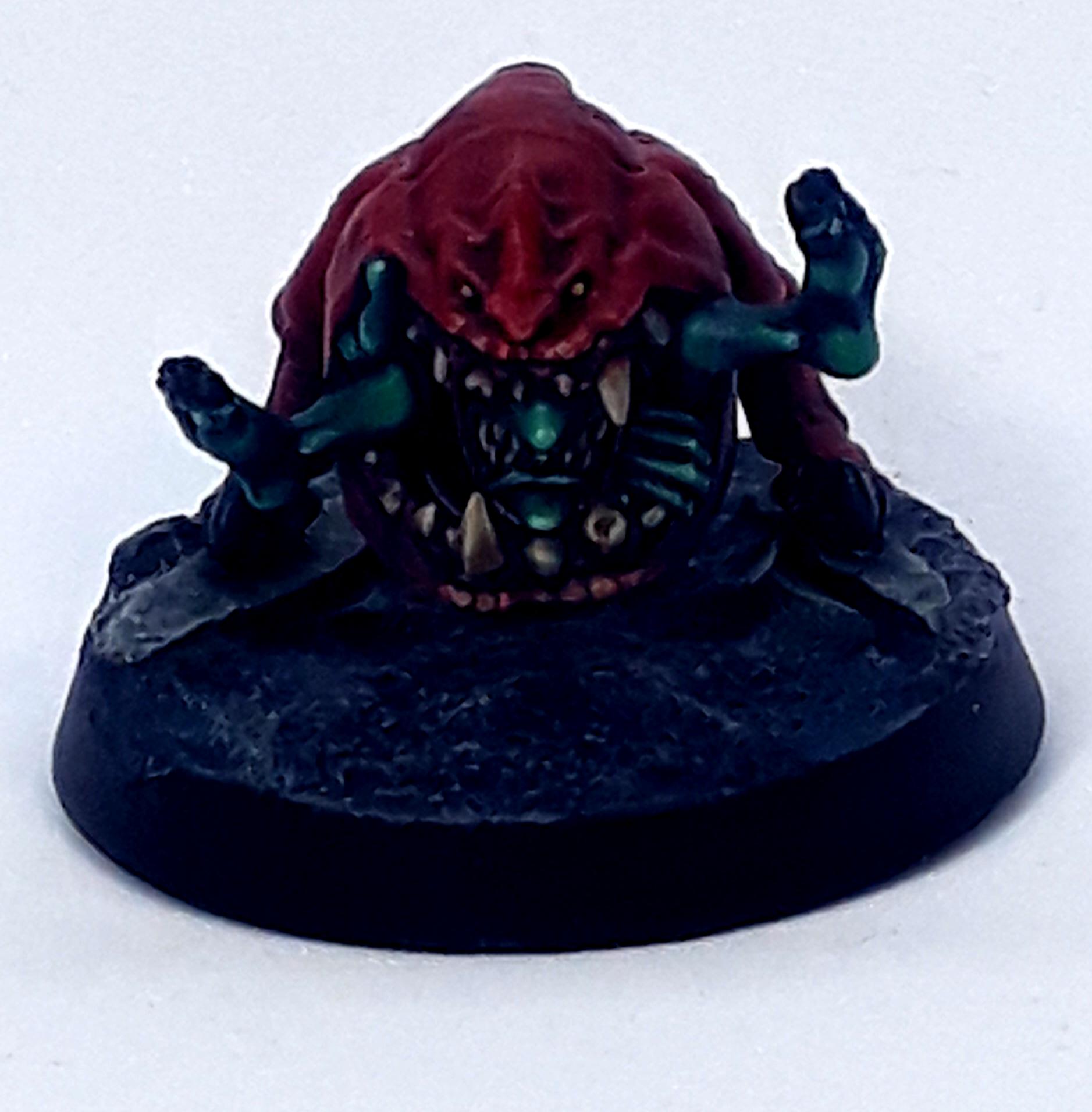 Squig 3.1