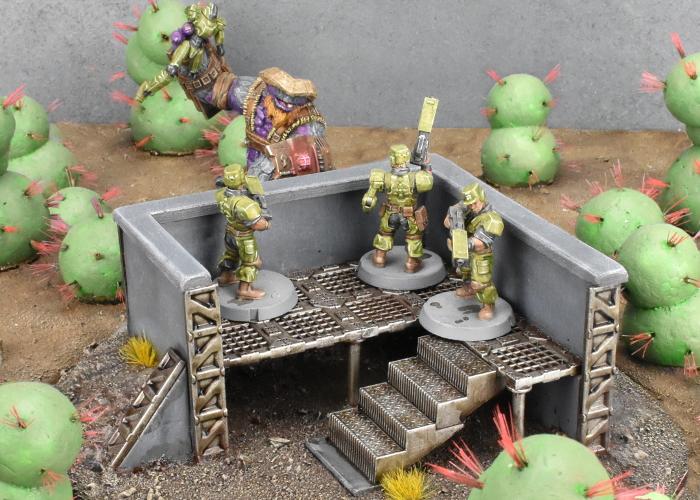 Jungle, Medge, Security Contractors, Terrain