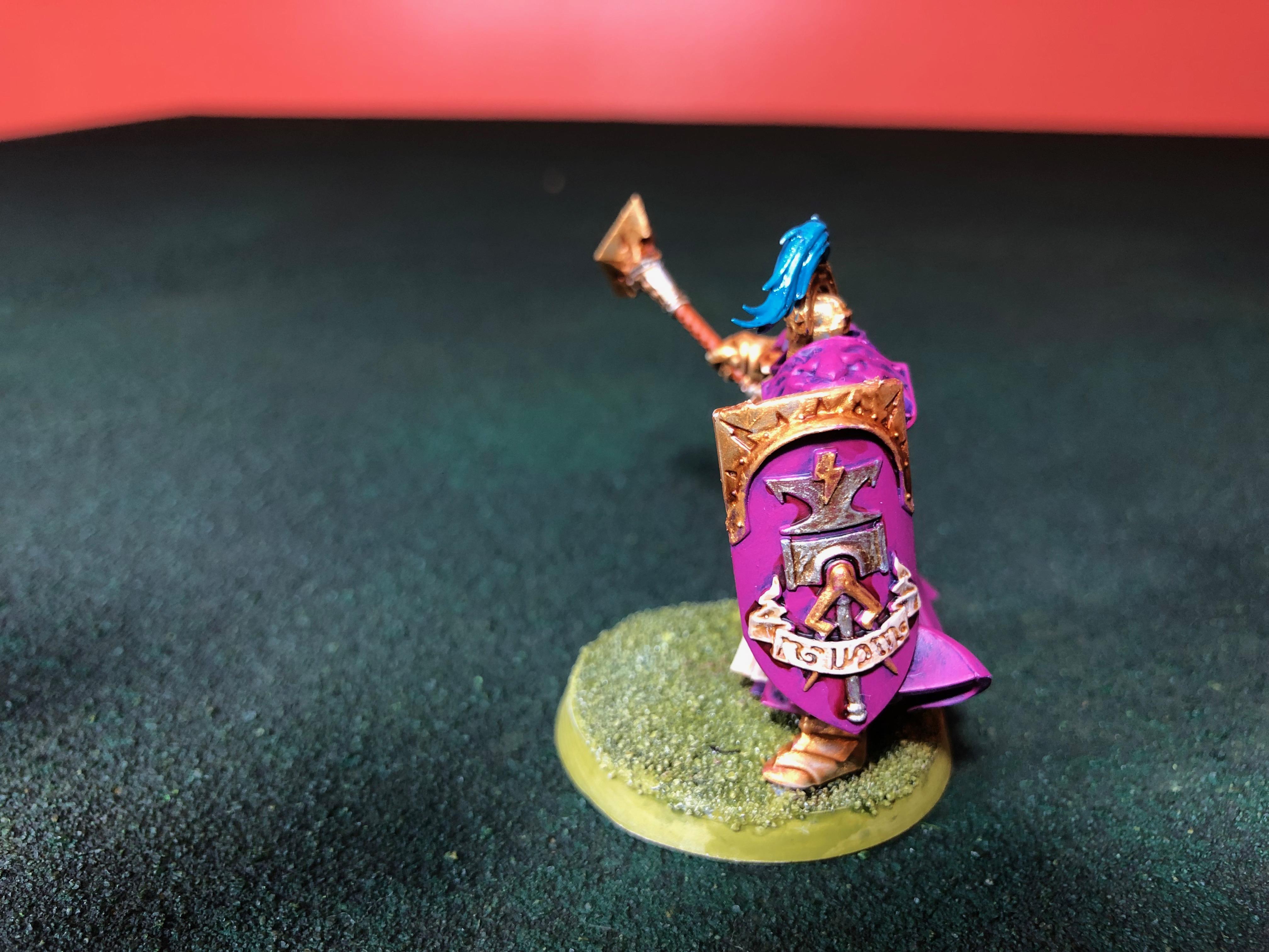 storm cast shield