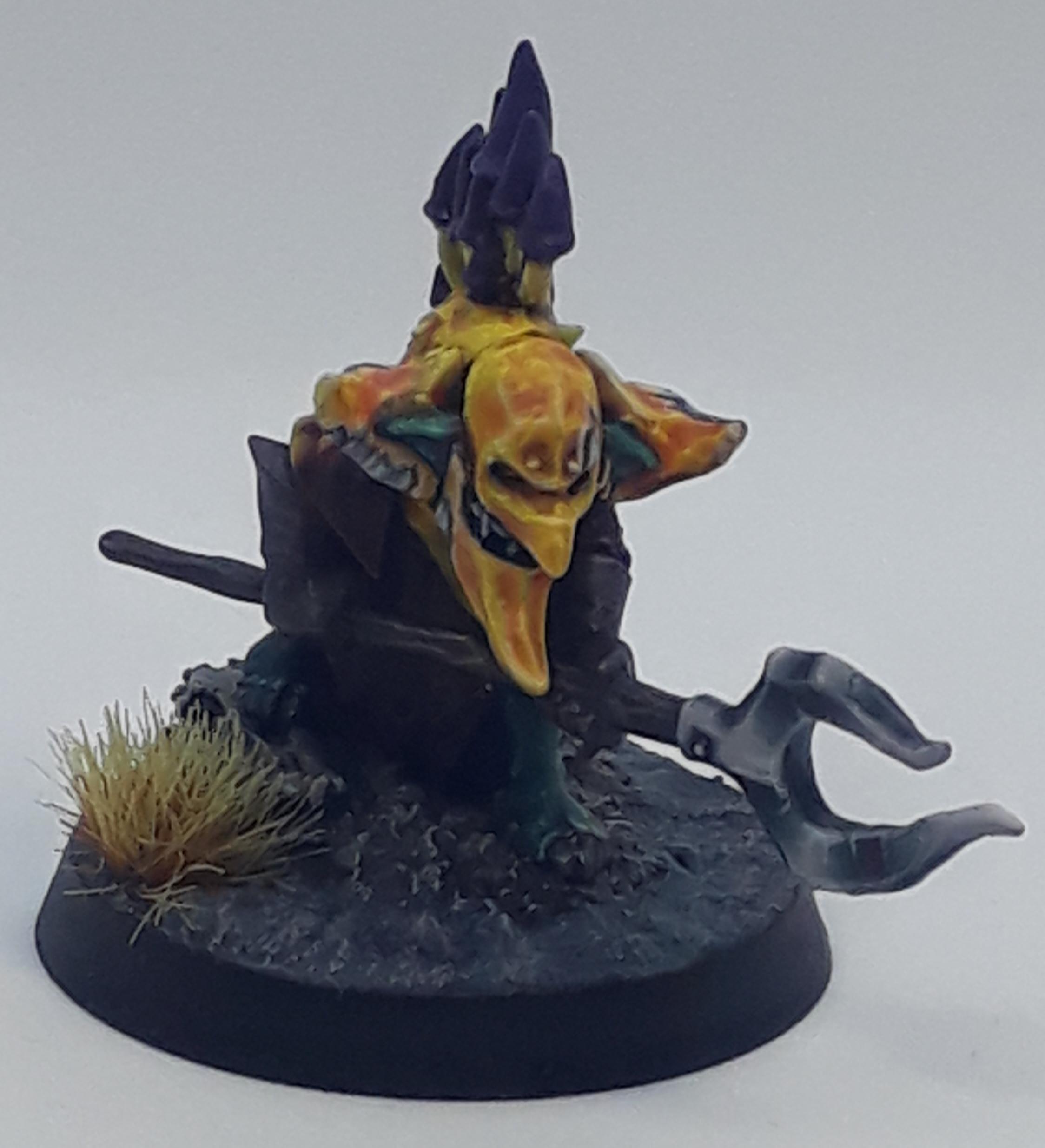 Squig 5.1