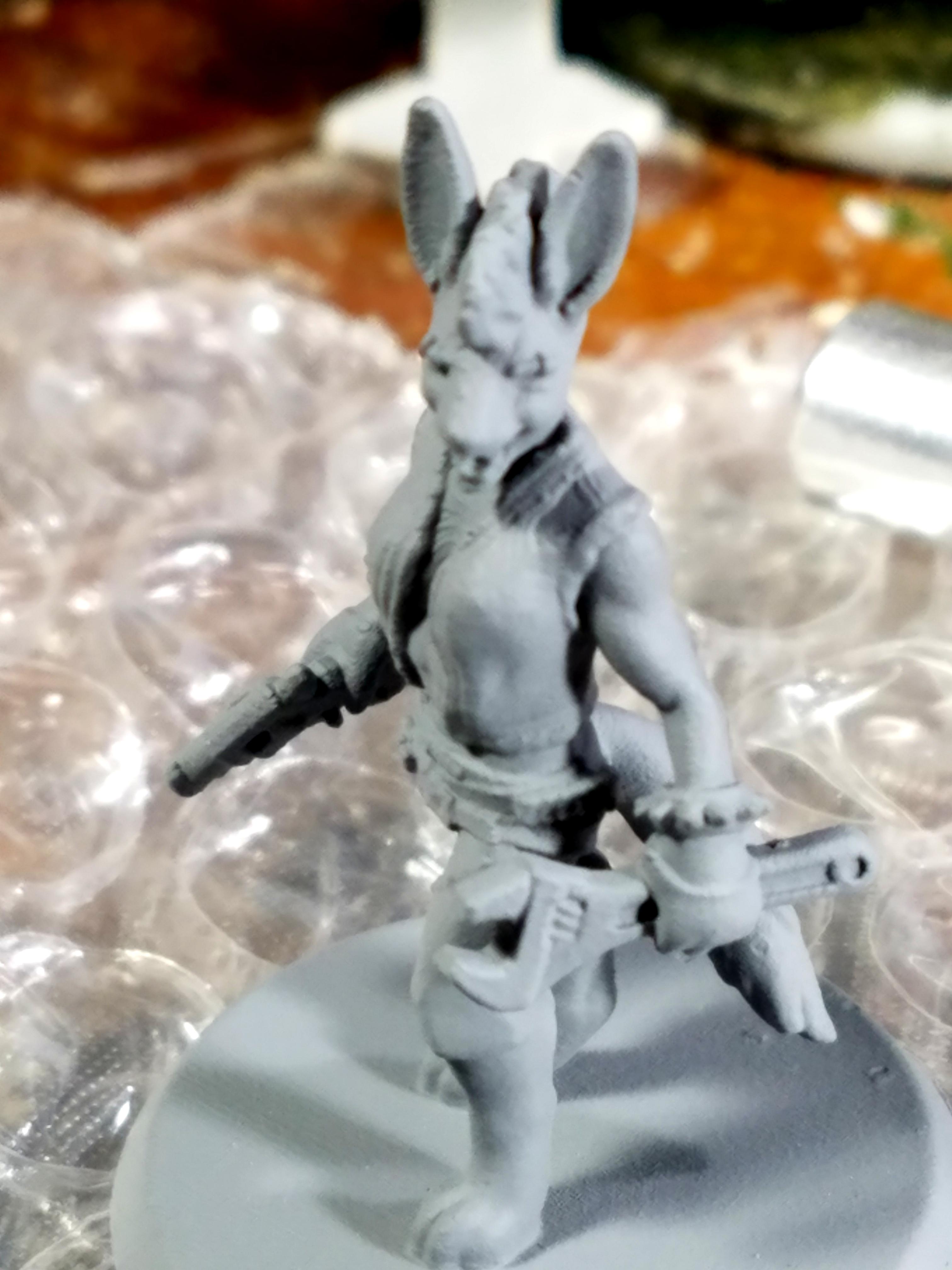 3d Printed, Furry, Hero Forge, Scantily Clad