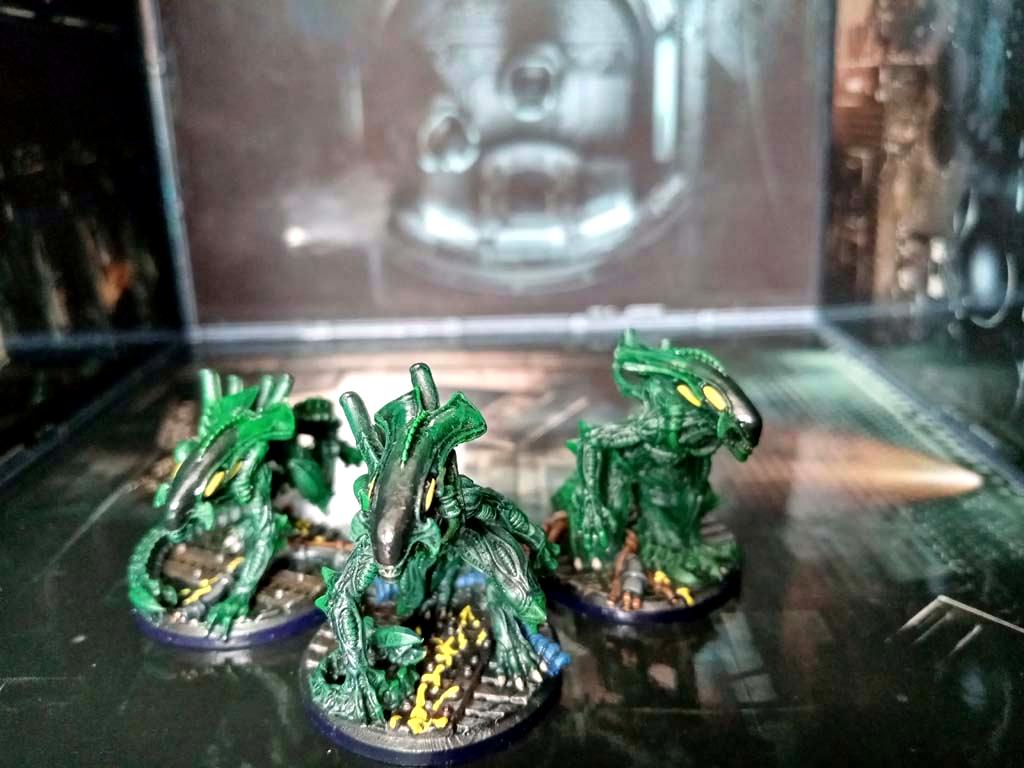 Avp, Alien Splitters