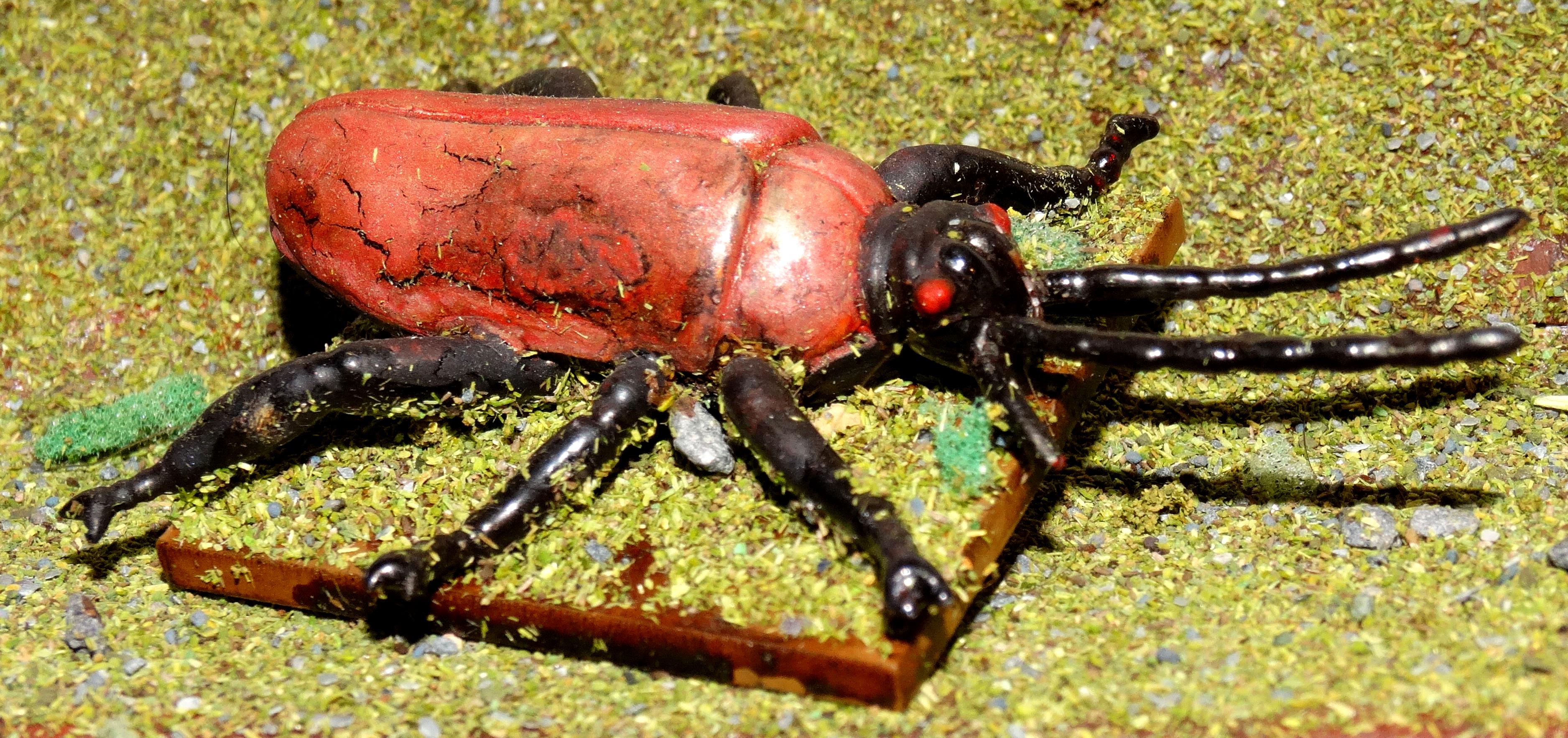 Beetle