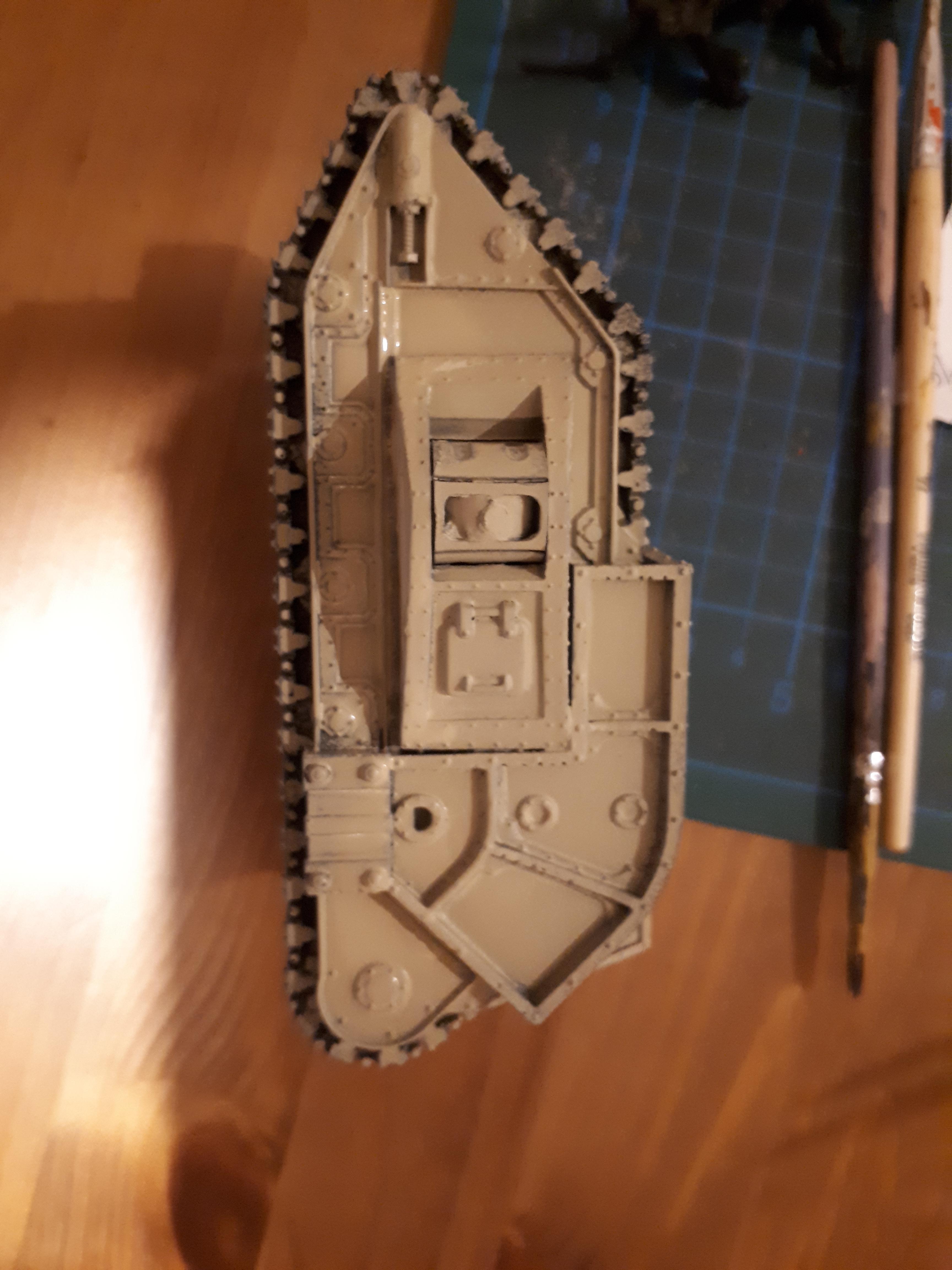 Carnodon after degreasing