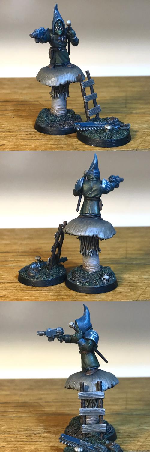 Commander Suillus, with accessories