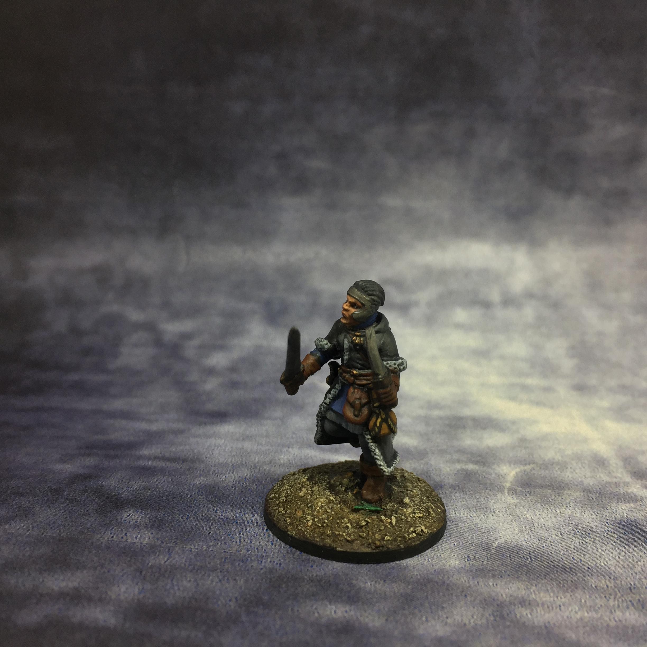 Female, Frostgrave, January 2020, Northstar, Soldier, Soldiers