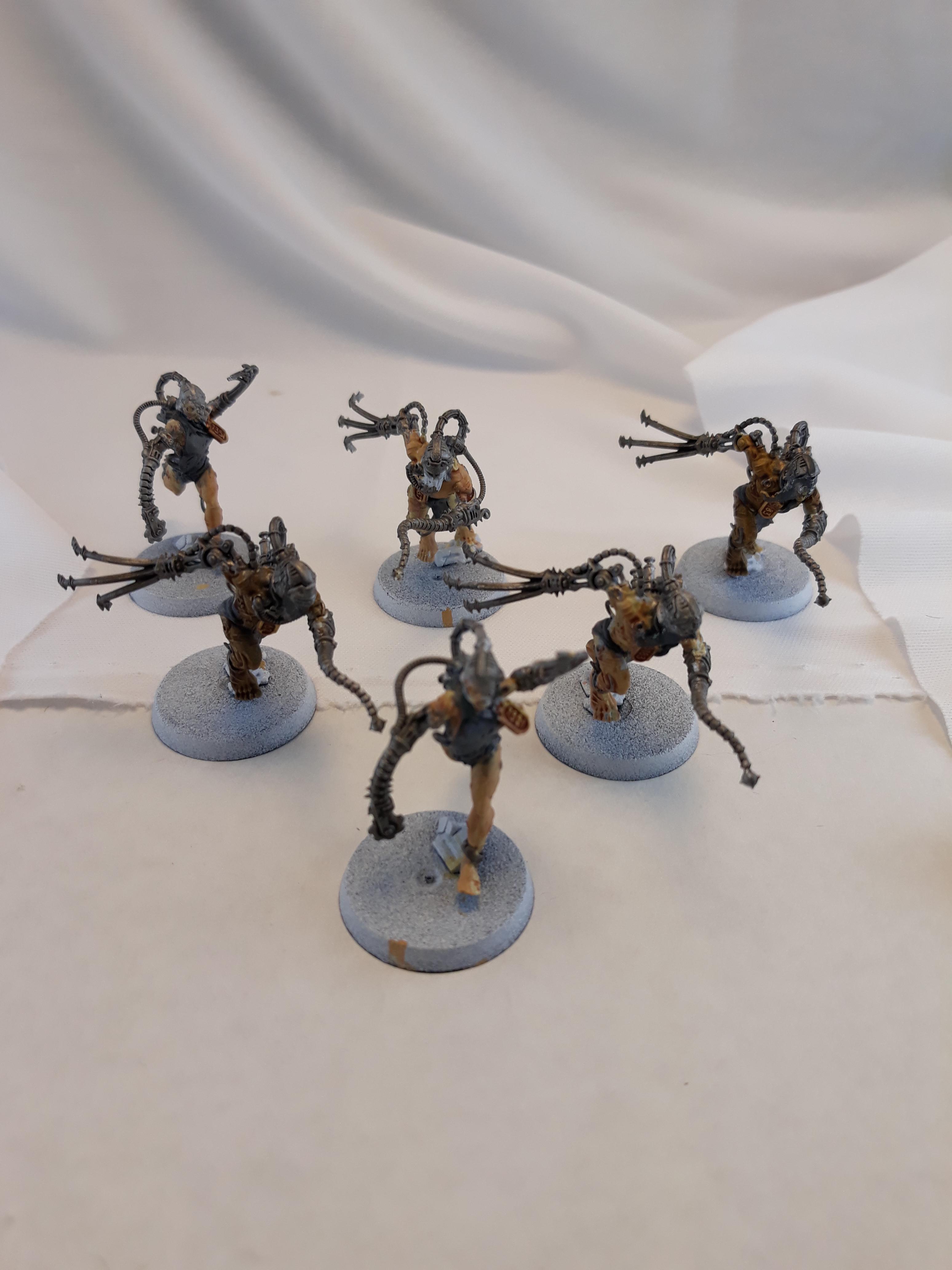 Arco flagellants01