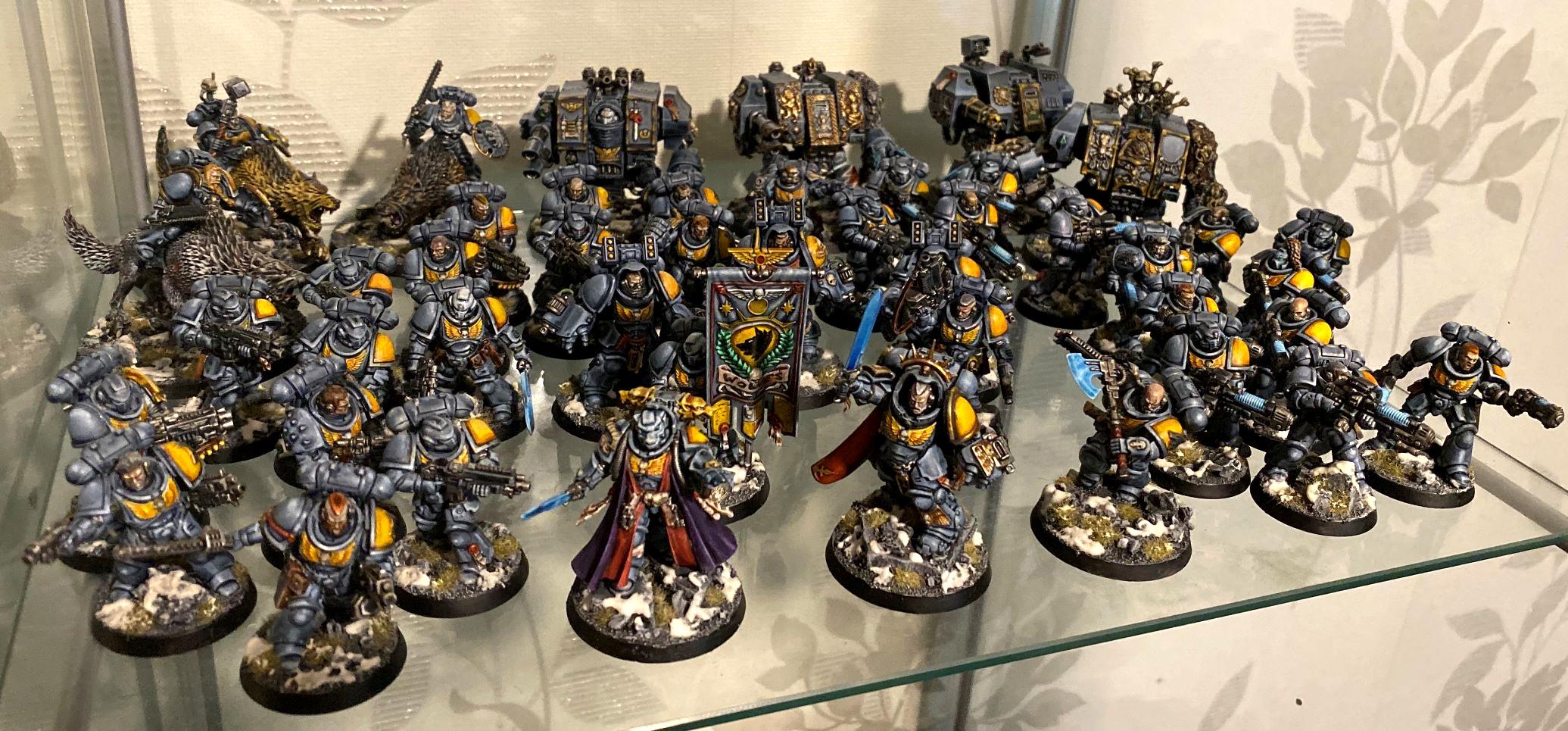 Gravis Armour, Primaris, Space Wolves, Wolf Lord, Wolves