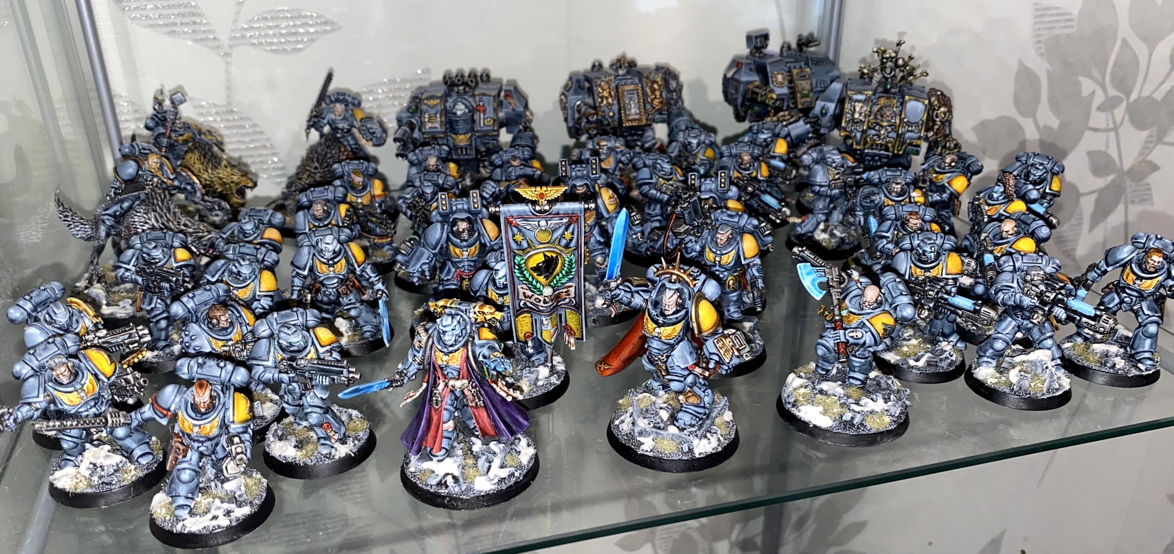 Gravis Armour, Primaris, Space Wolves, Wolf Lord, Wolves