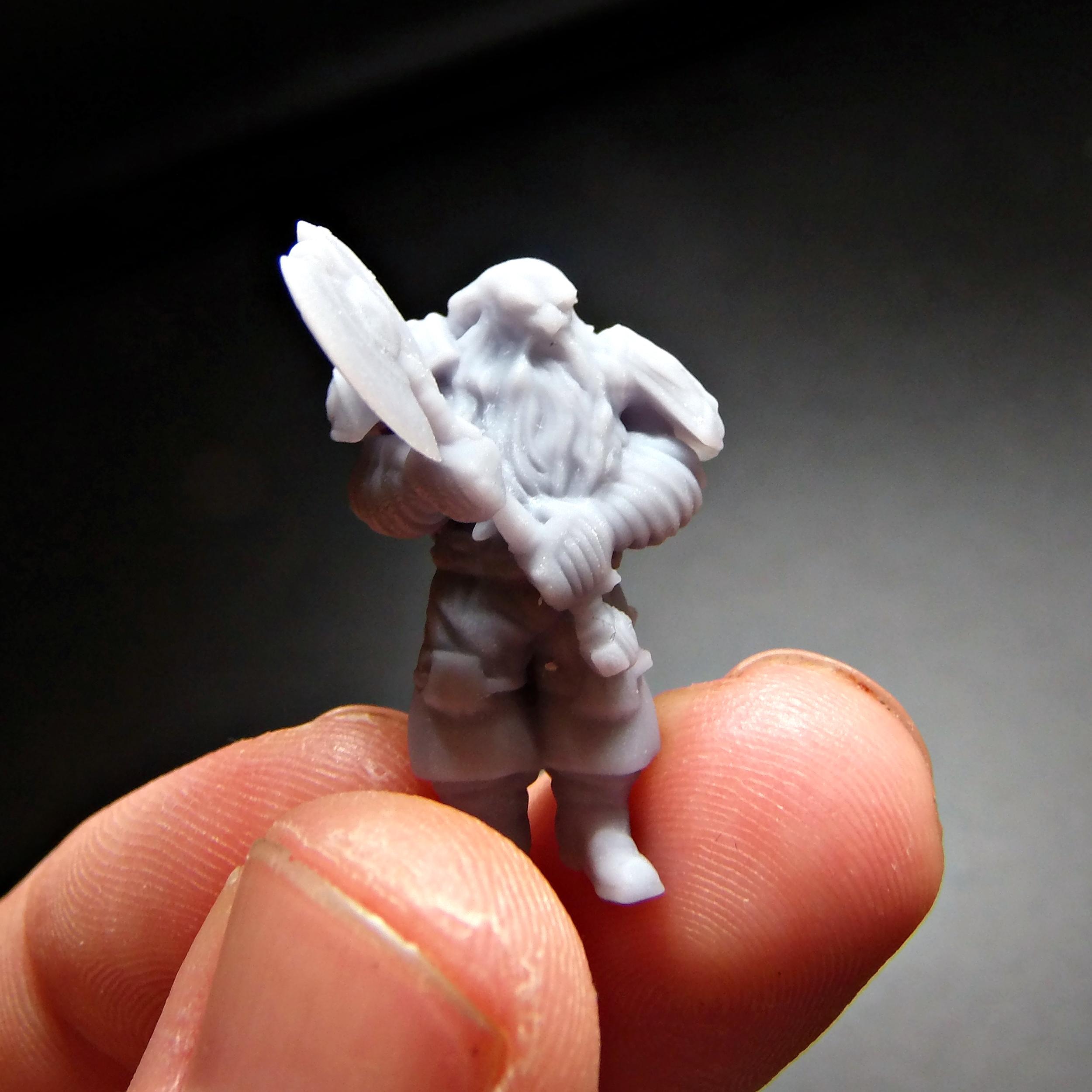 3d Print, Dungeons And Dragons, Dwarves, Fighter, Photon, Resin