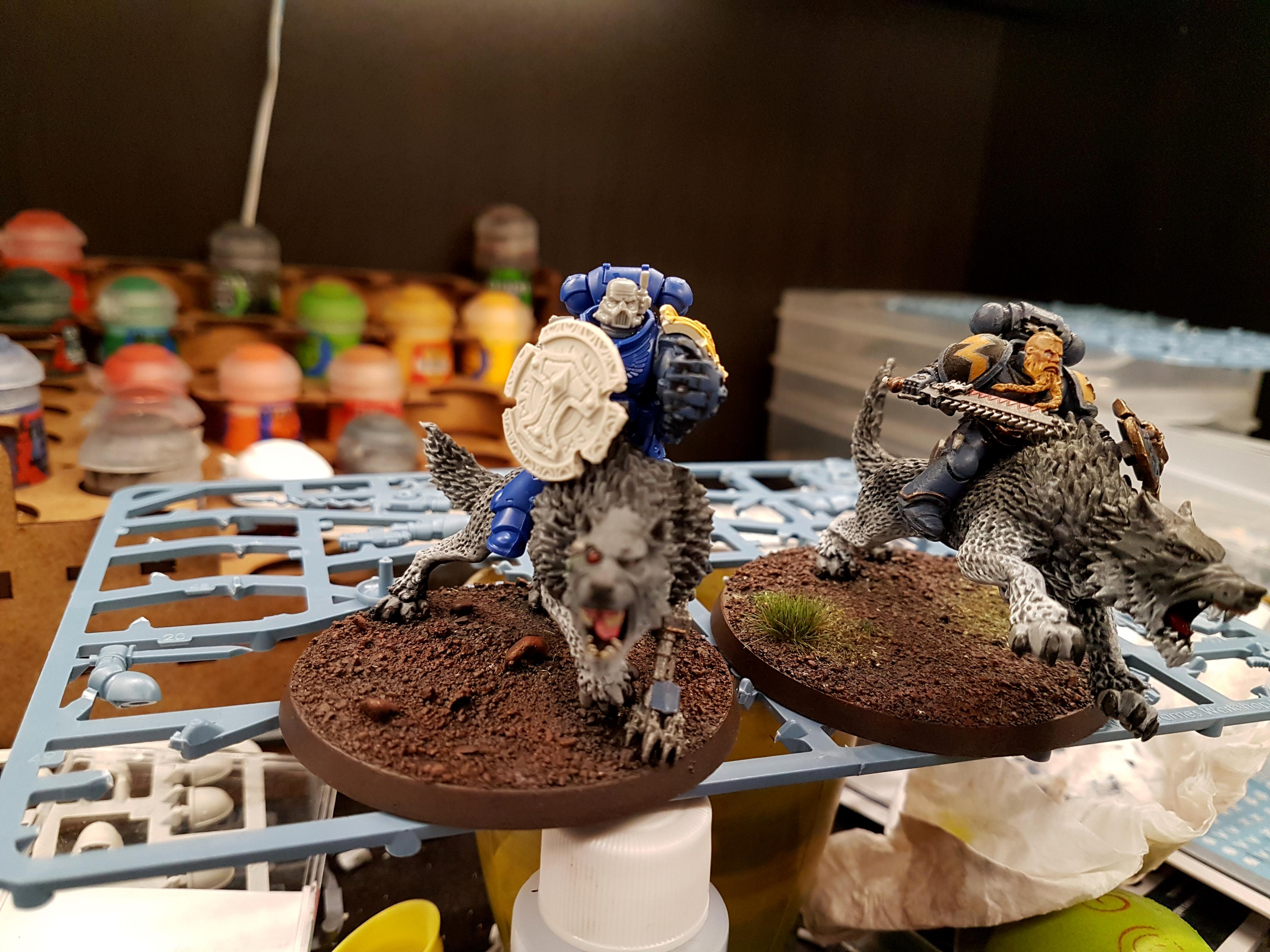 Primaris TWC