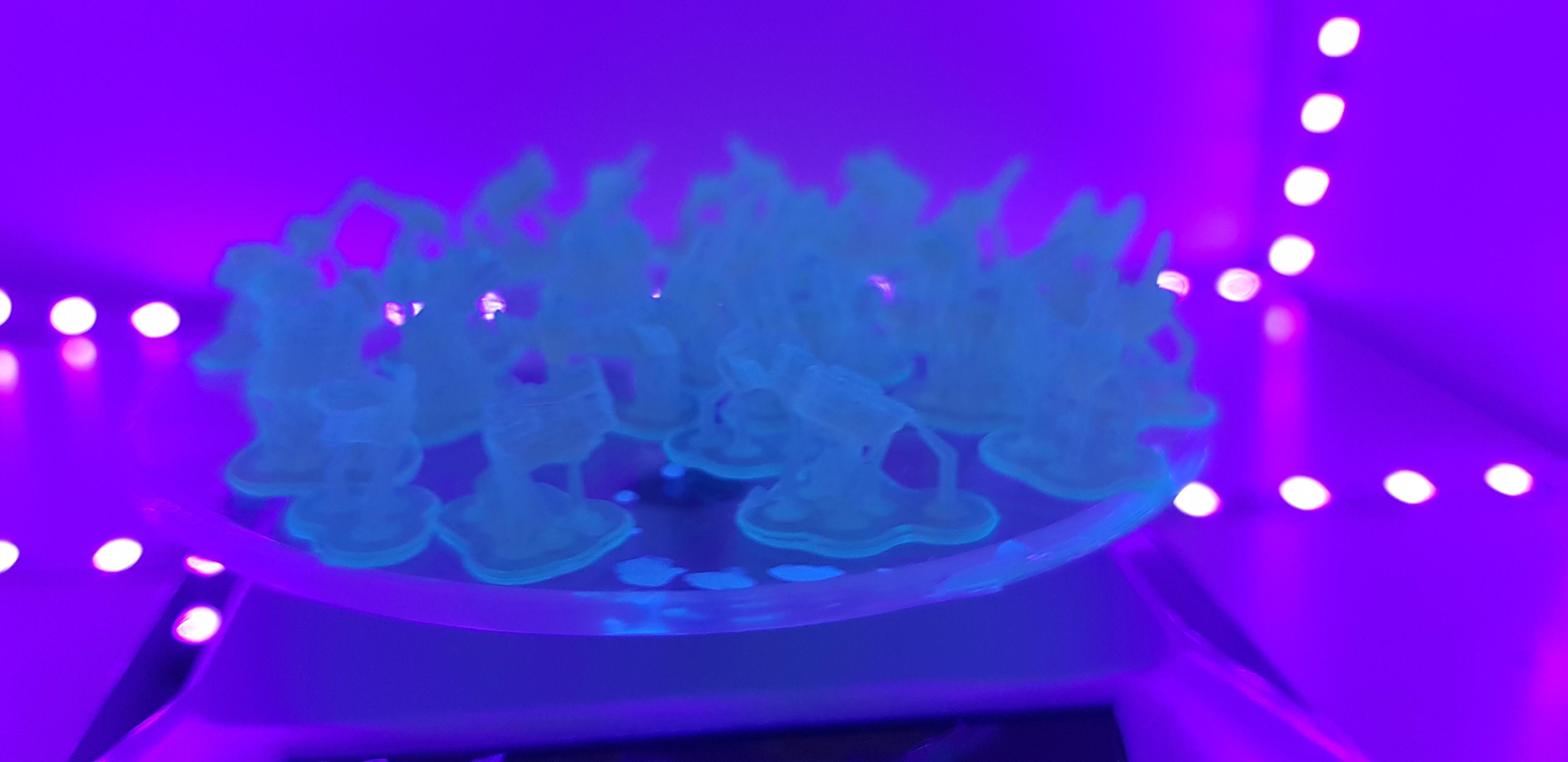 3d Print, Mono