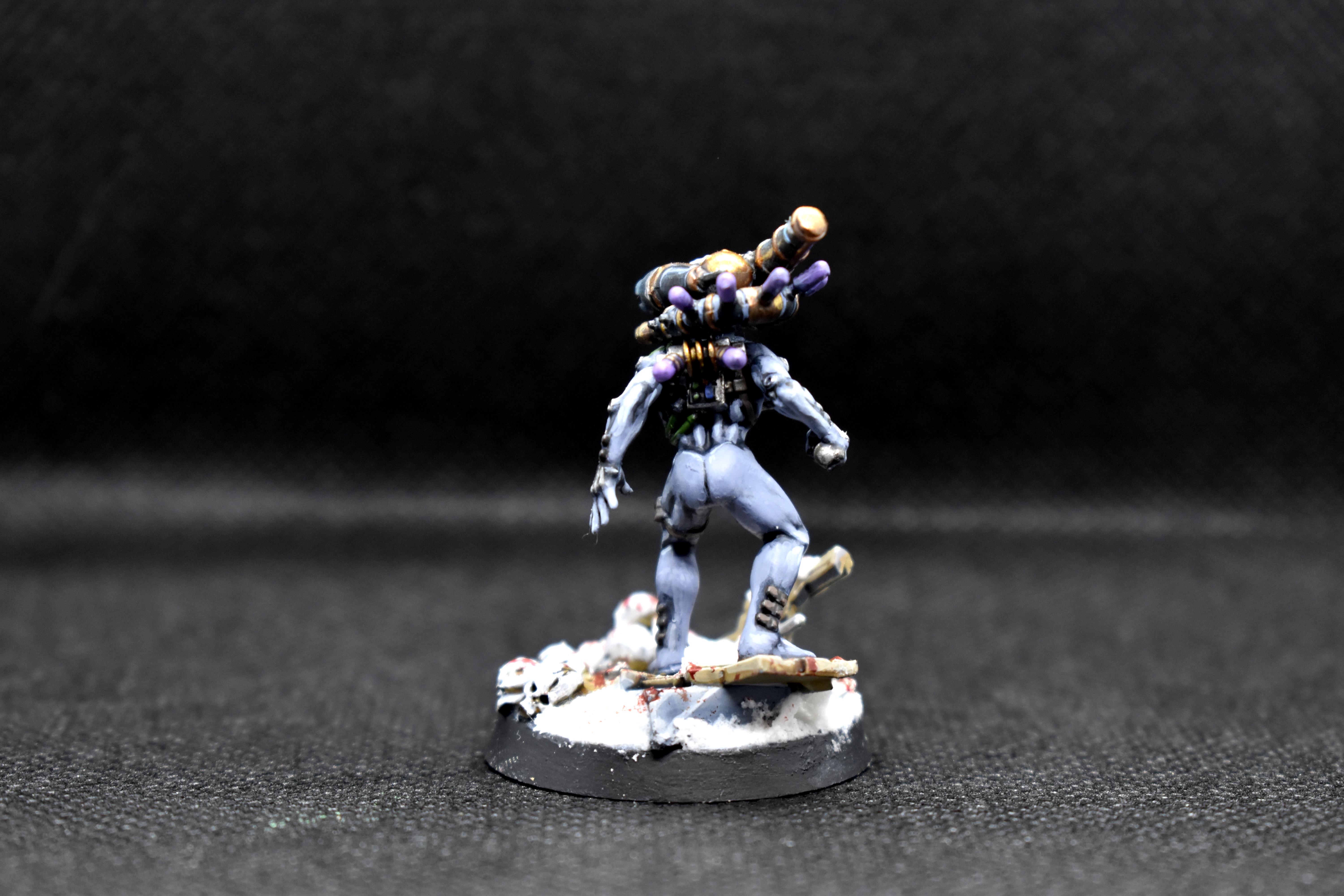 Assassin, Imperium, Calexus Assassin