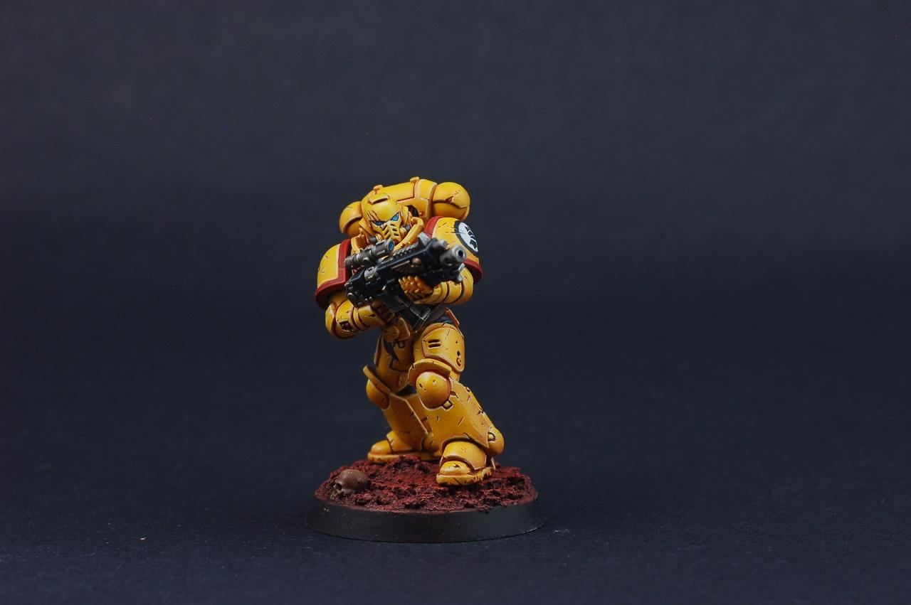 Imperial Fists, Primaris