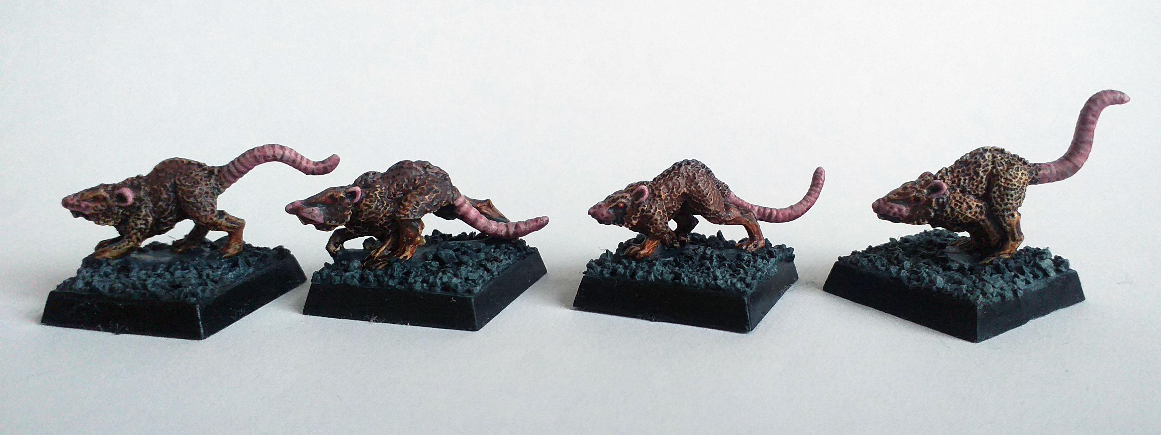 rats painted