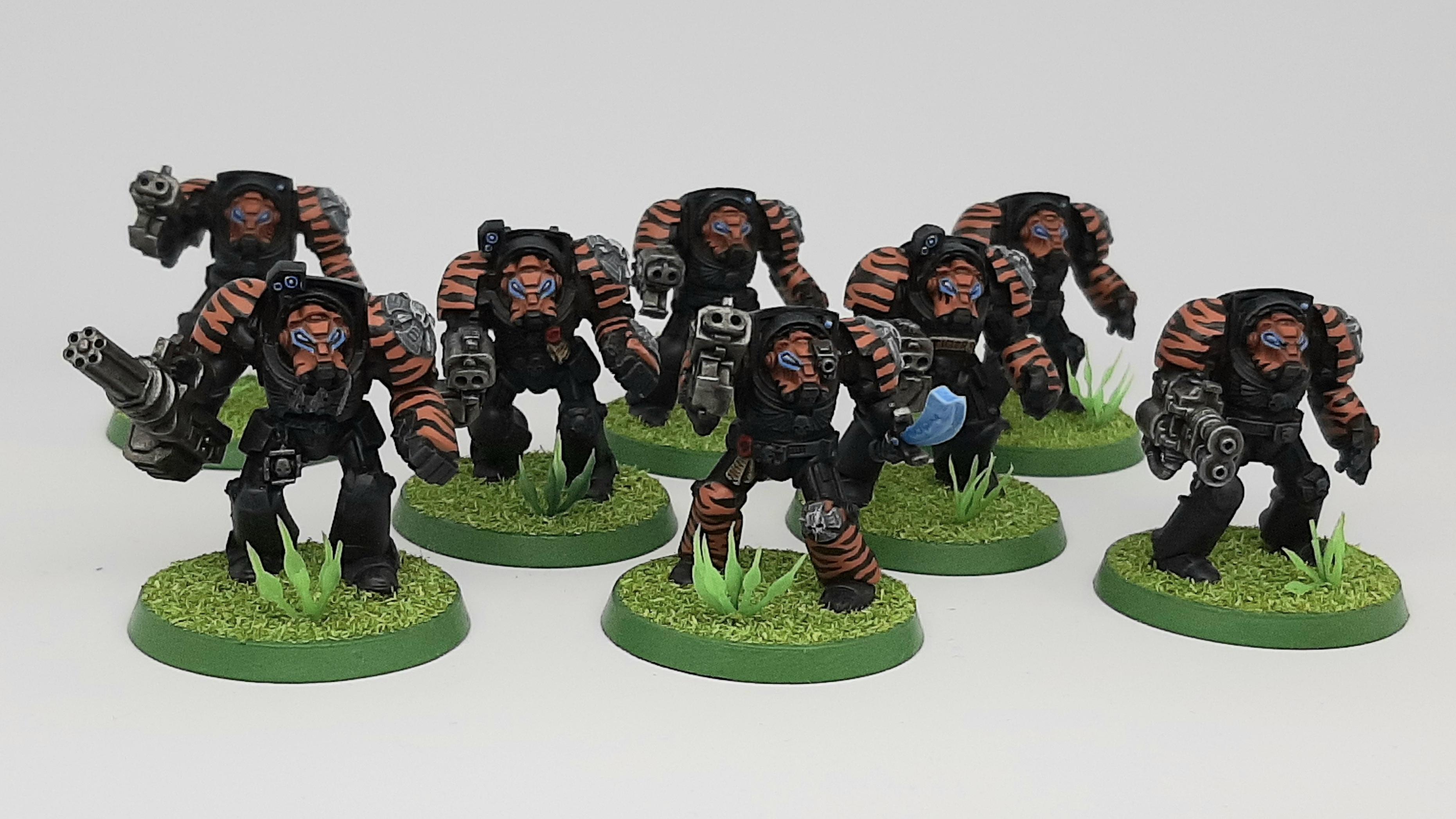 Adeptus, Astartes, Camouflage, Conversion, Custom, Fighting, Forest, India, Jungle, Kitbash, Power Fist, Saber, Space, Space Marines, Stormbolter, Terminator Armor, Tigers, Veda, Vedic