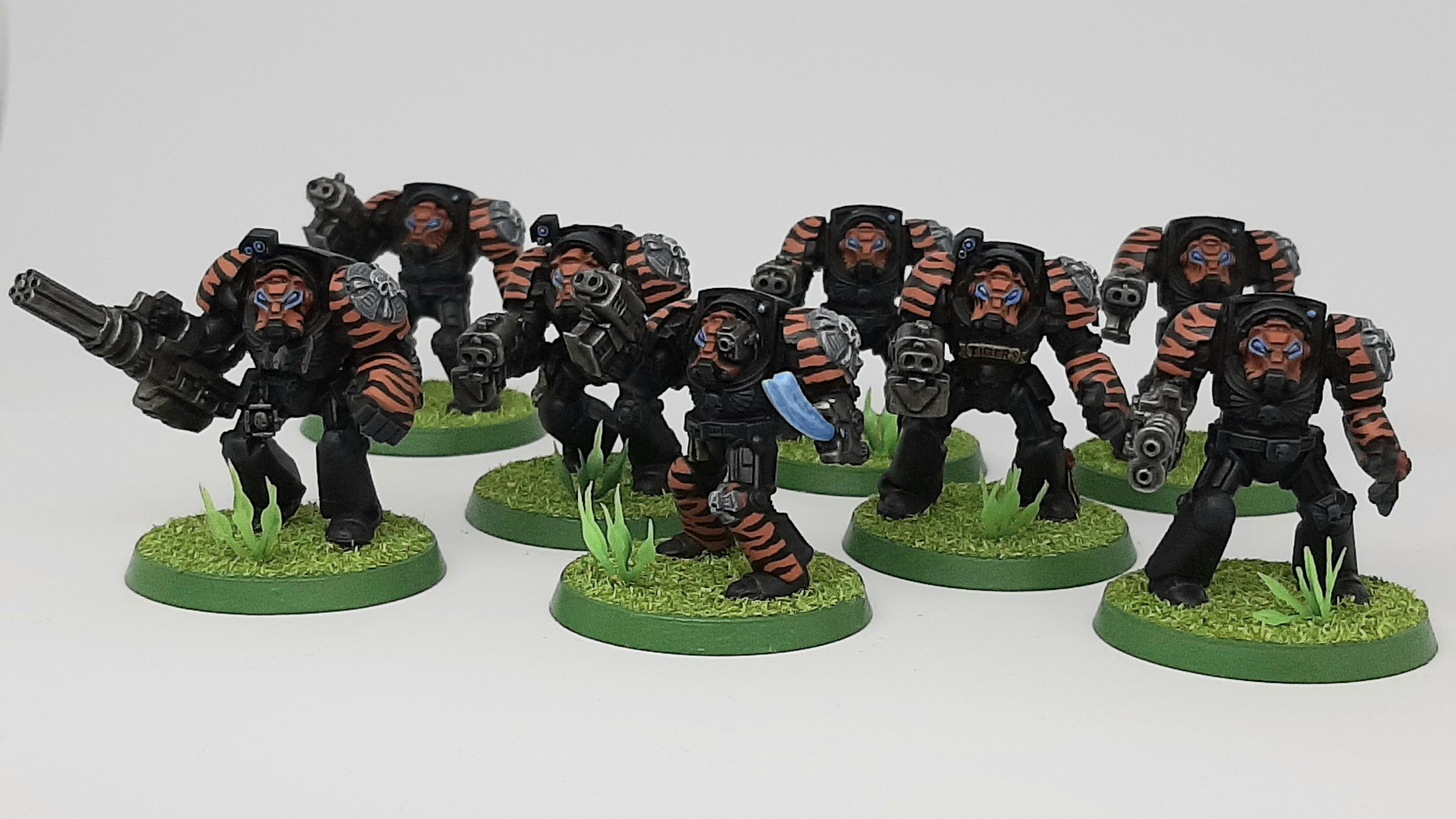 Adeptus, Astartes, Camouflage, Conversion, Custom, Fighting, Forest, India, Jungle, Kitbash, Power Fist, Saber, Space, Space Marines, Stormbolter, Terminator Armor, Tigers, Veda, Vedic