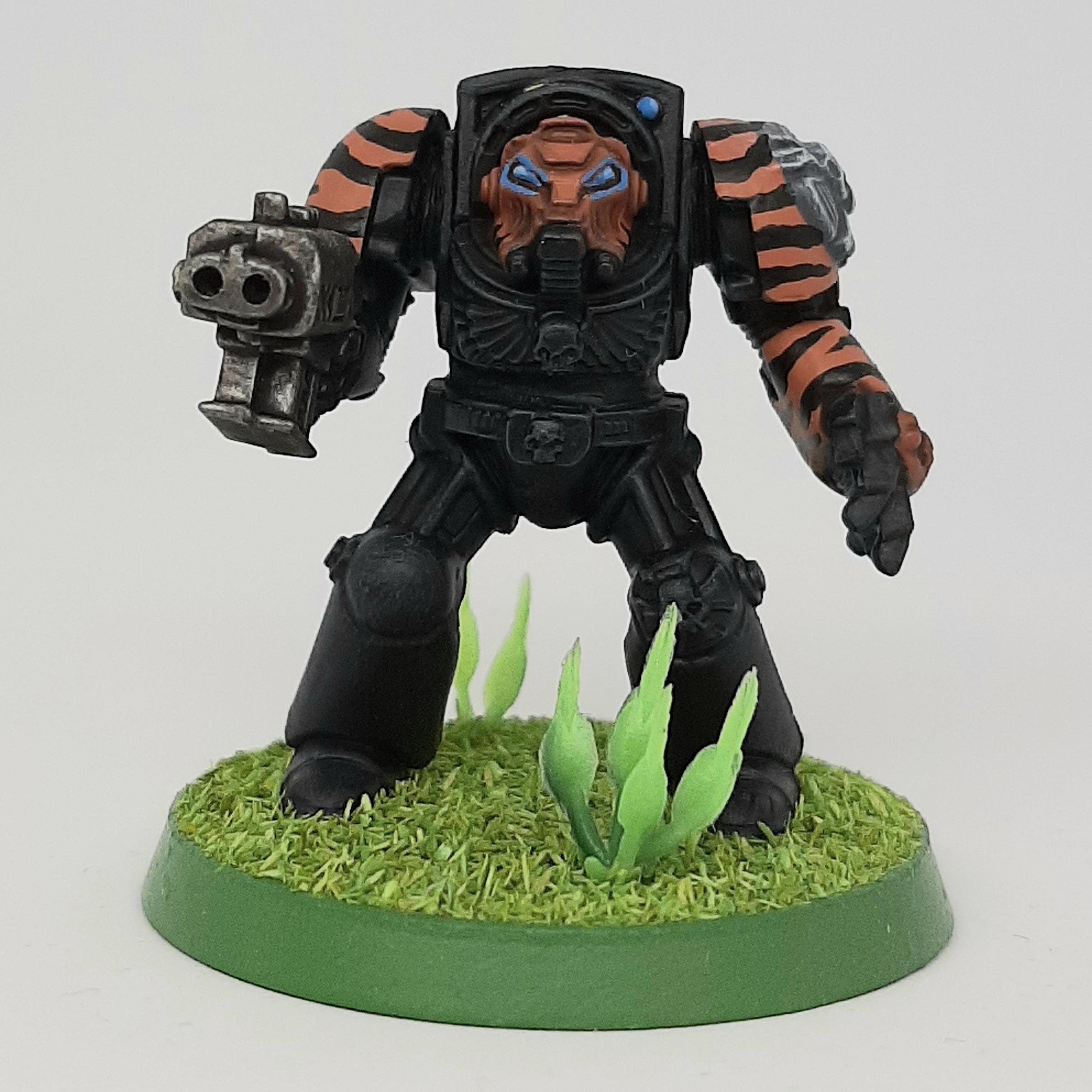 Adeptus, Astartes, Camouflage, Conversion, Custom, Fighting, Forest, India, Jungle, Kitbash, Power Fist, Saber, Space, Space Marines, Stormbolter, Terminator Armor, Tigers, Veda, Vedic