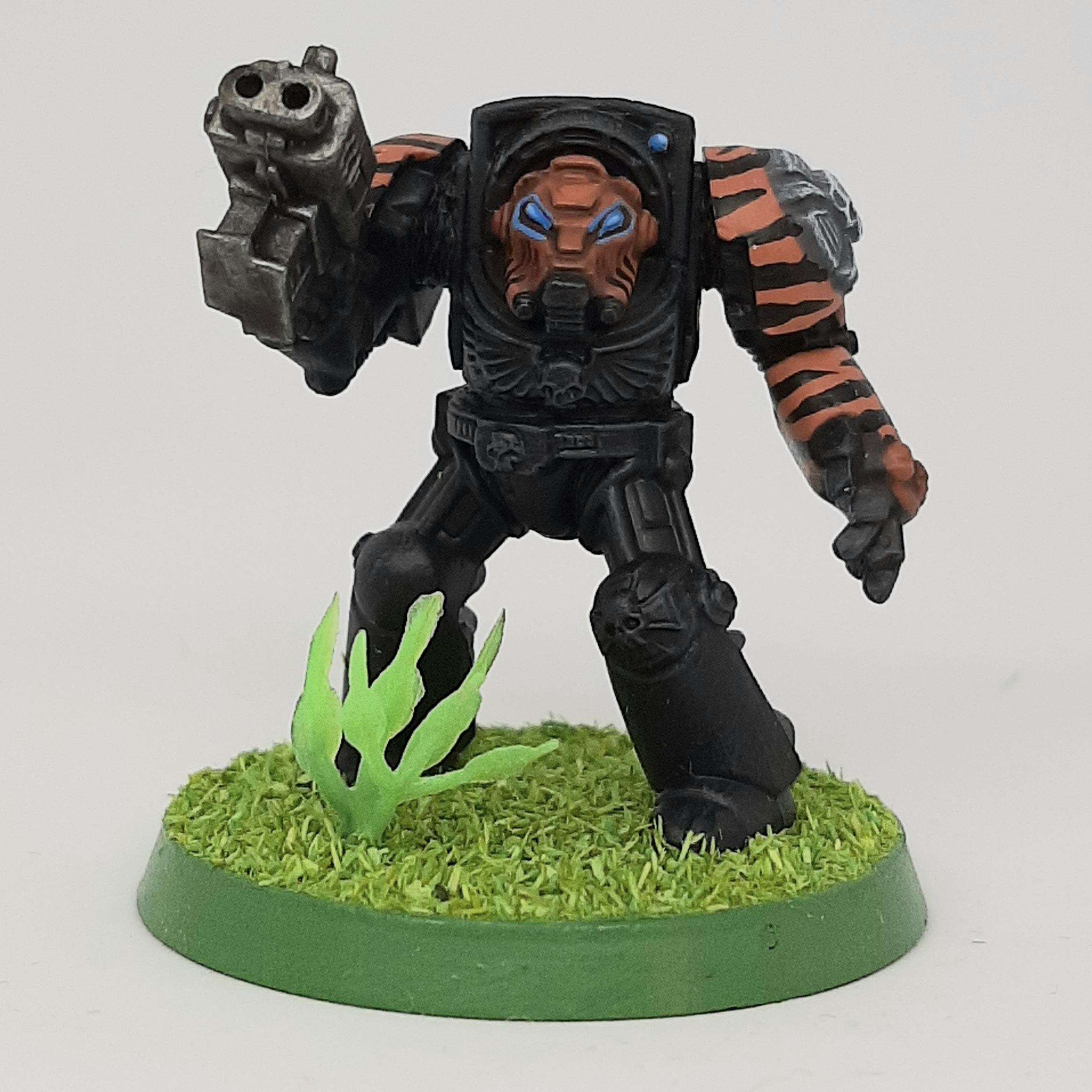 Adeptus, Astartes, Camouflage, Conversion, Custom, Fighting, Forest, India, Jungle, Kitbash, Power Fist, Saber, Space, Space Marines, Stormbolter, Terminator Armor, Tigers, Veda, Vedic
