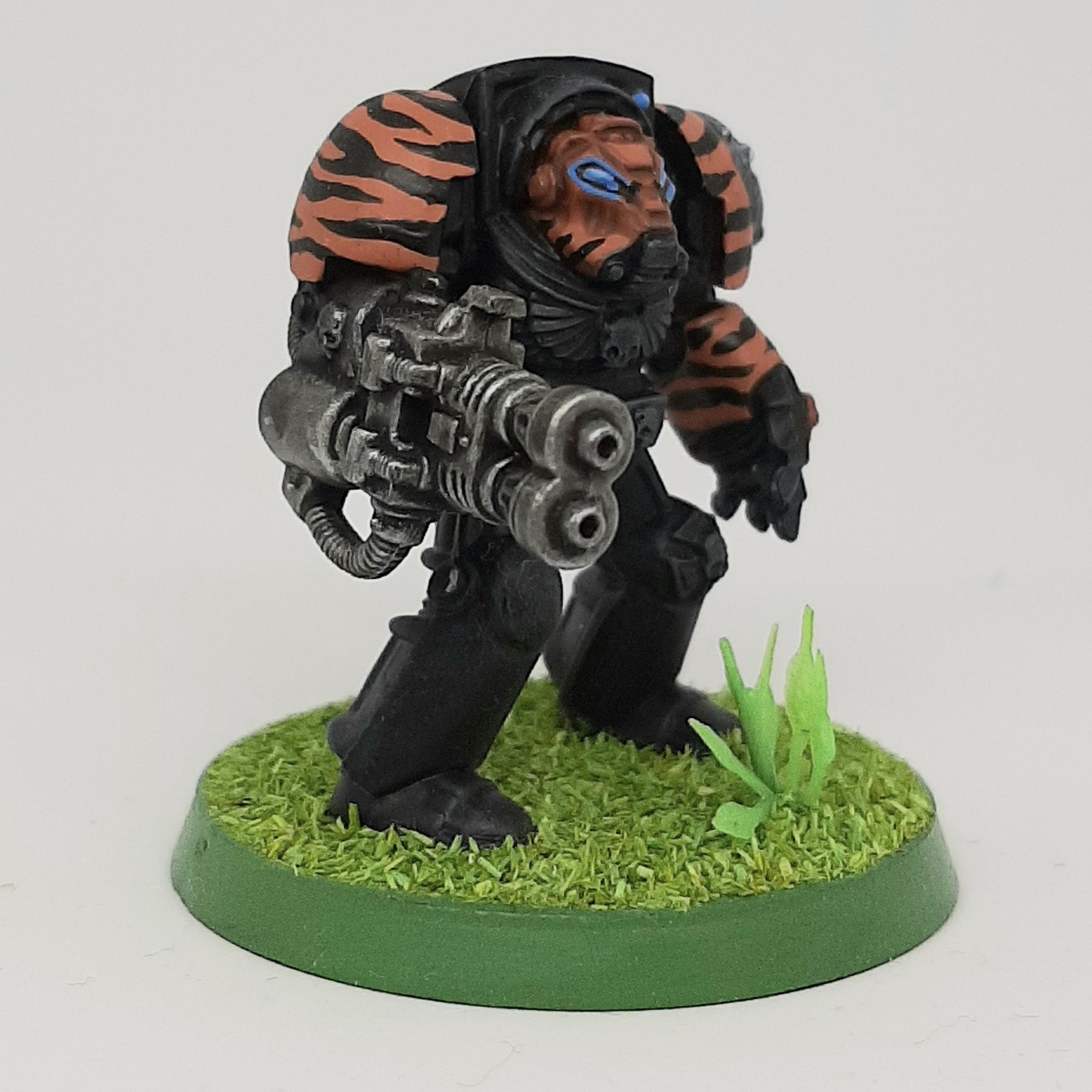 Adeptus, Astartes, Camouflage, Conversion, Custom, Fighting, Forest, India, Jungle, Kitbash, Power Fist, Saber, Space, Space Marines, Stormbolter, Terminator Armor, Tigers, Veda, Vedic