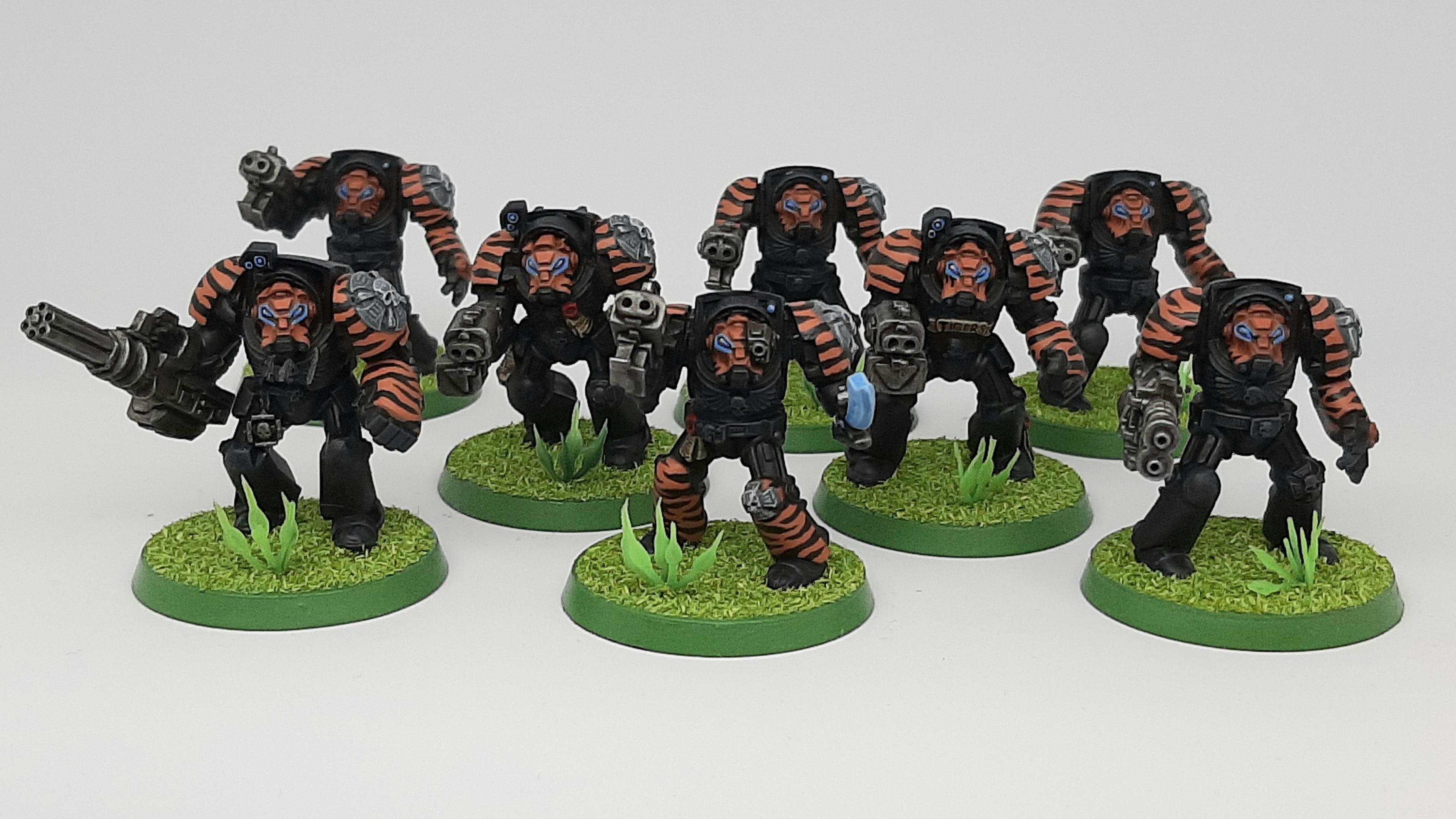 Adeptus, Astartes, Camouflage, Conversion, Custom, Fighting, Forest, India, Jungle, Kitbash, Power Fist, Saber, Space, Space Marines, Stormbolter, Terminator Armor, Tigers, Veda, Vedic