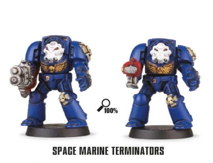Adeptus, Astartes, Camouflage, Conversion, Custom, Fighting, Forest, Jungle, Kitbash, Space, Space Marines, Tigers, Veda