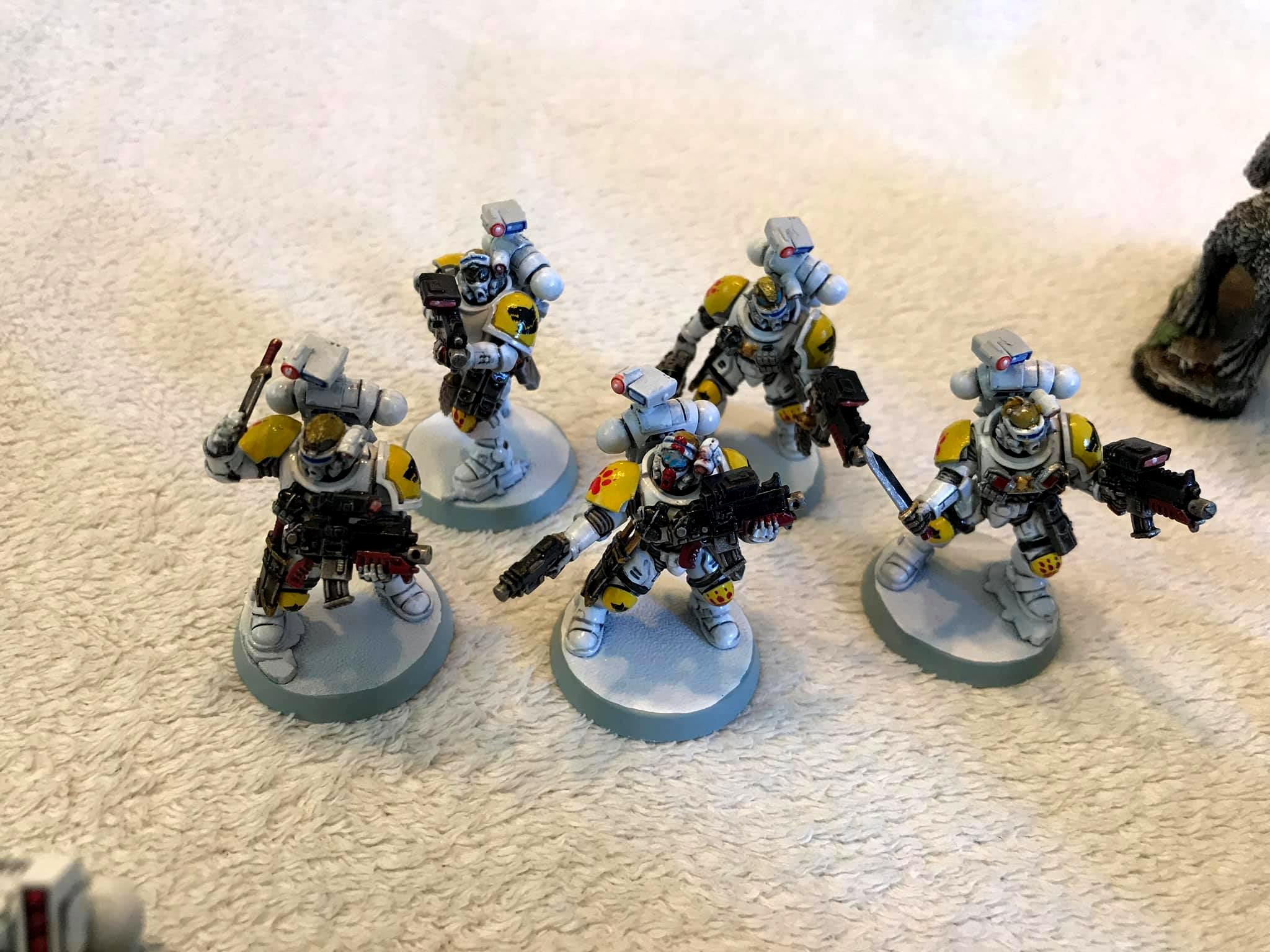 Primaris, Space Wolves, Spacewolf, White, Wolves