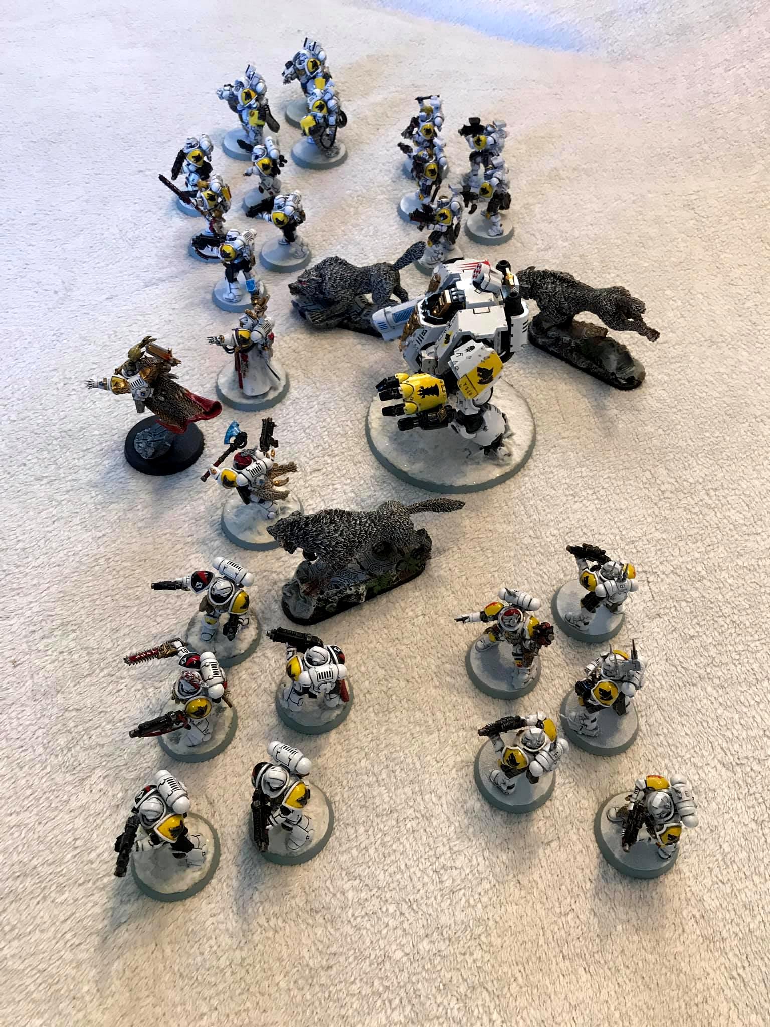 Primaris, Space Wolves, Spacewolf, White, Wolves