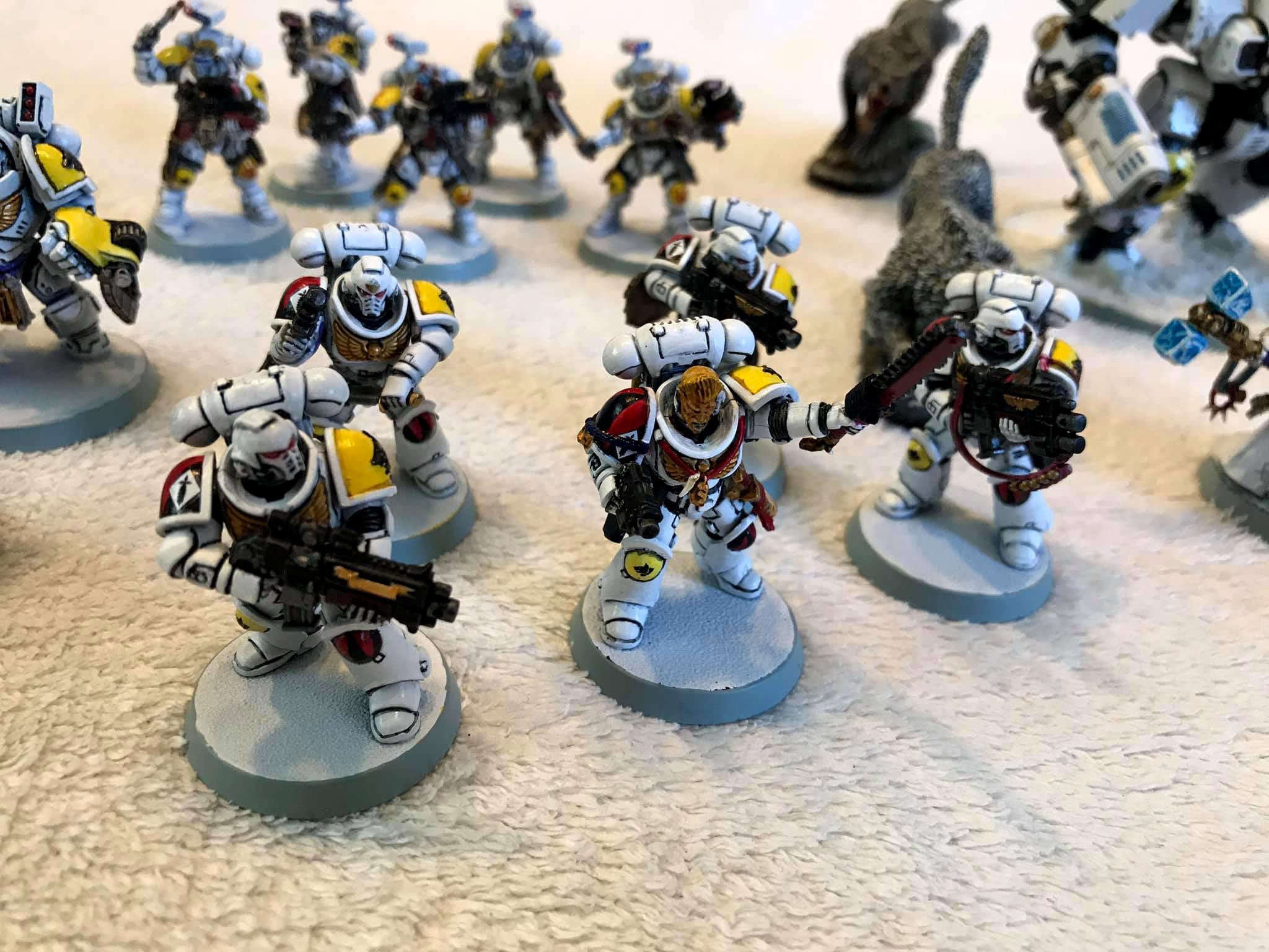 Primaris, Space Wolves, Spacewolf, White, Wolves