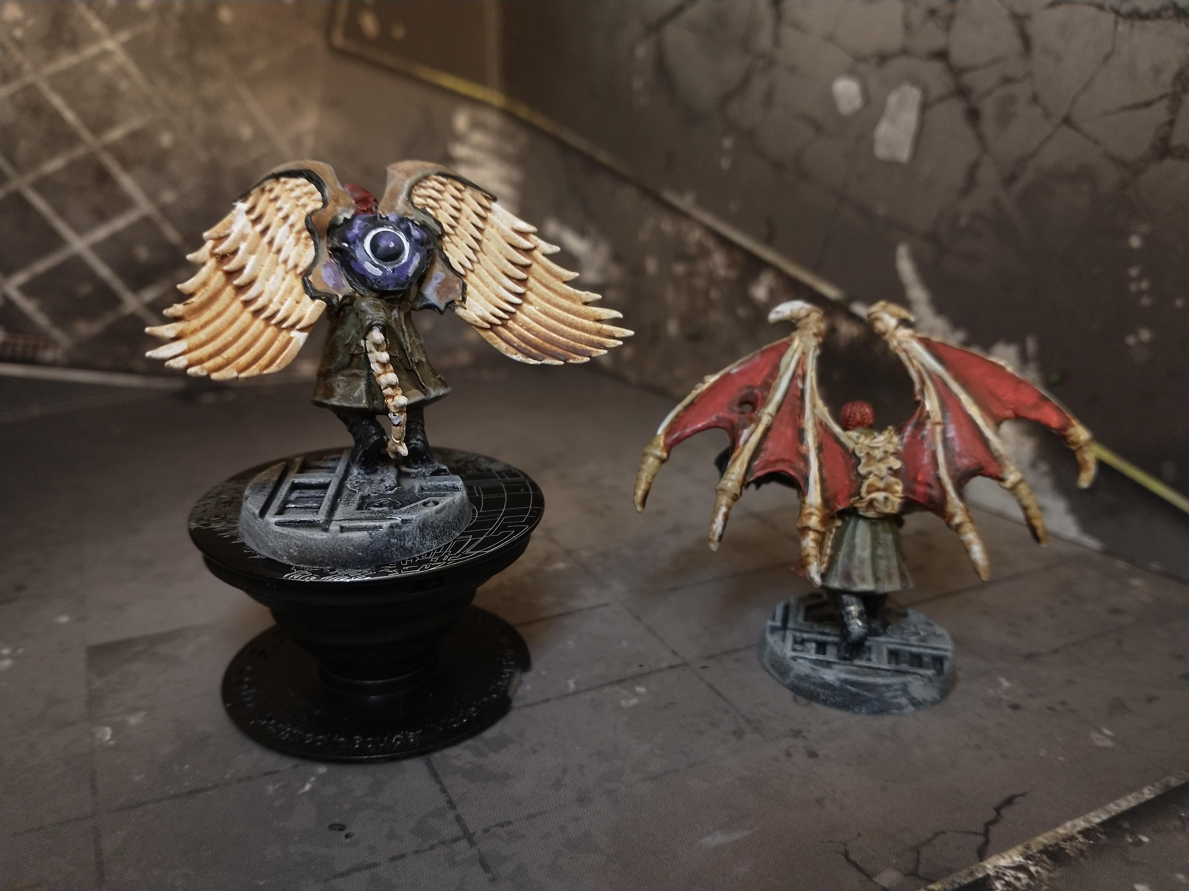 Dangerous Brothers wings