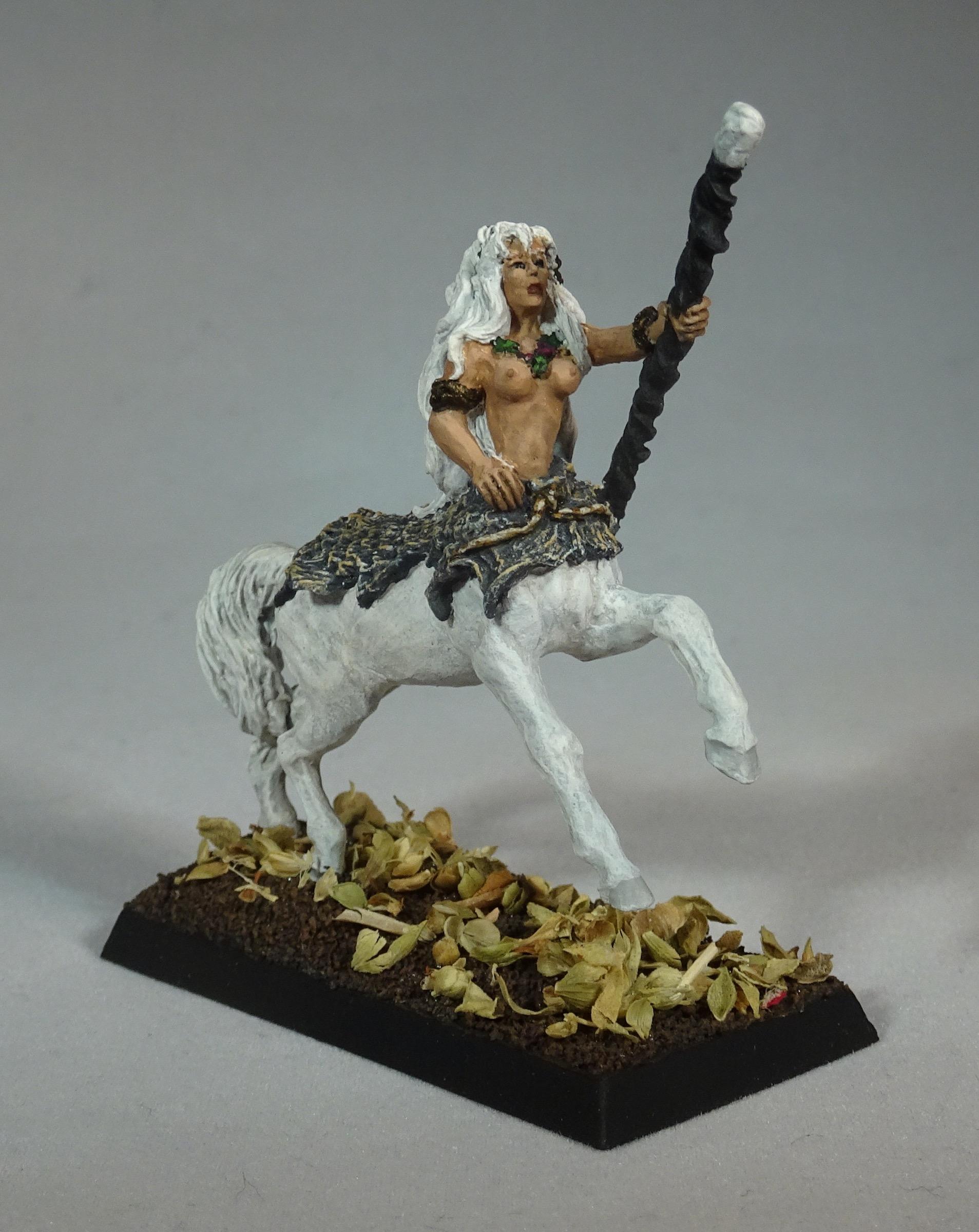 Centaur, Reaper 02230 Gwyneth Roanmane, Wizard