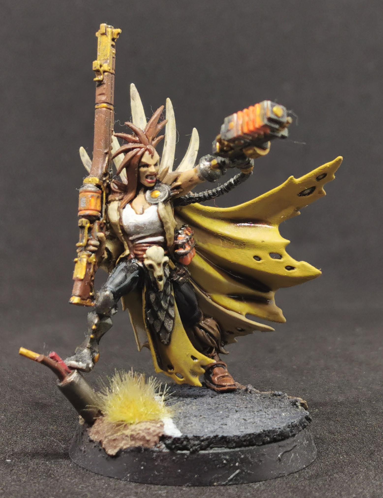 Inq28, Inquisition, Inquisitor