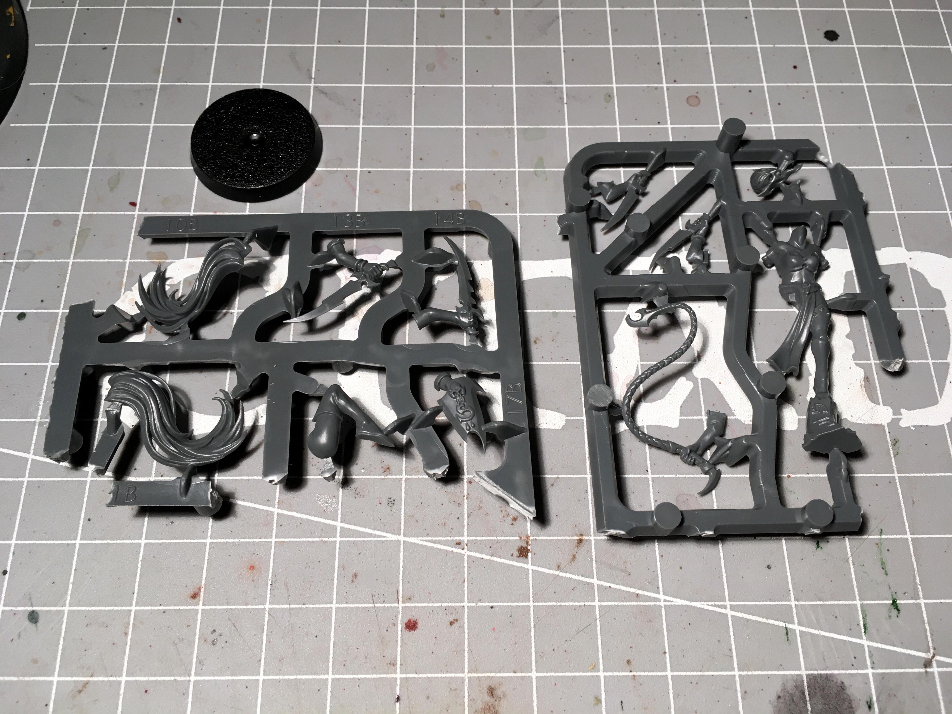 Age Of Sigmar, Sister Of Slaughter, Work In Progress