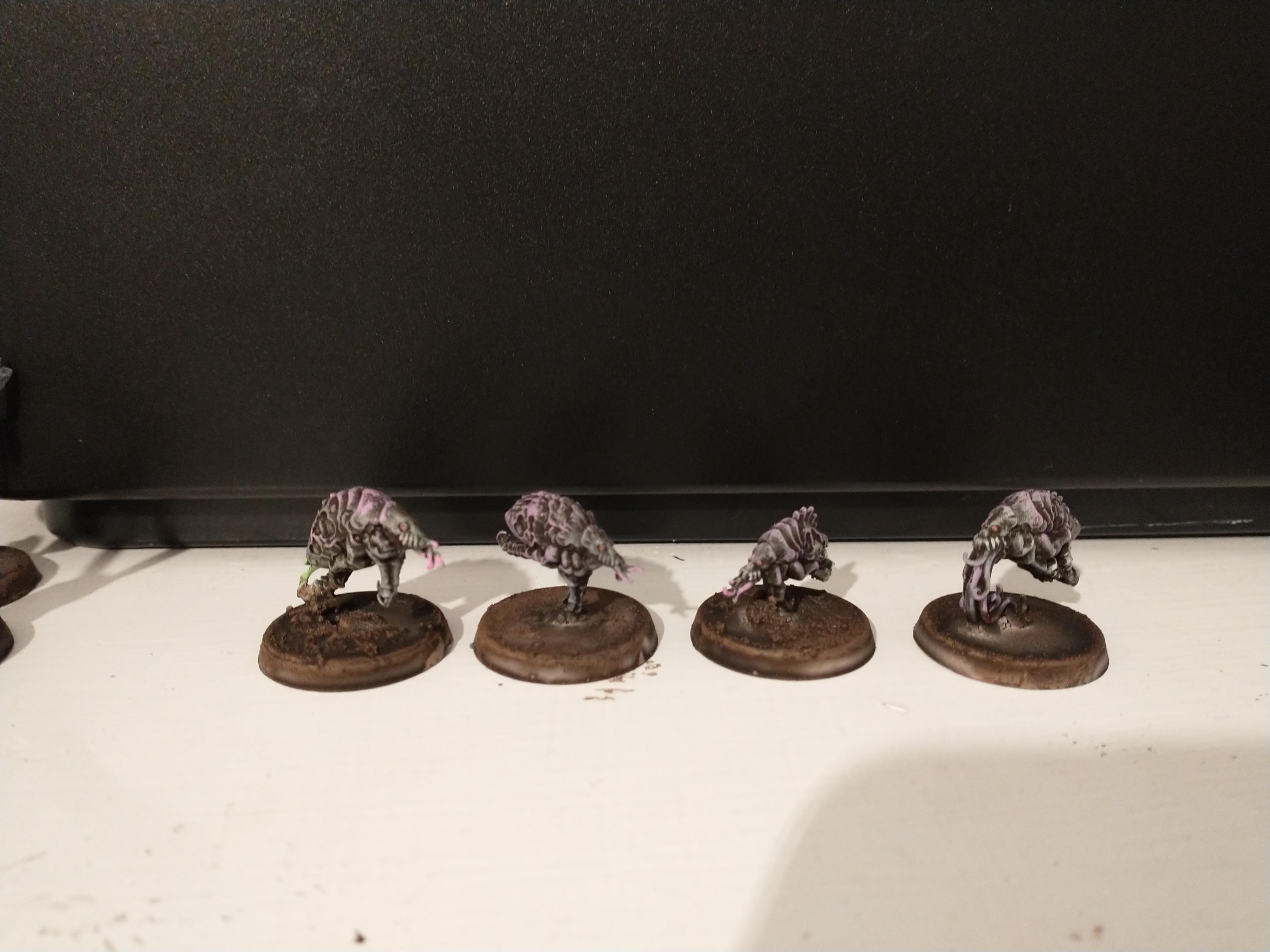 Plague Mites
