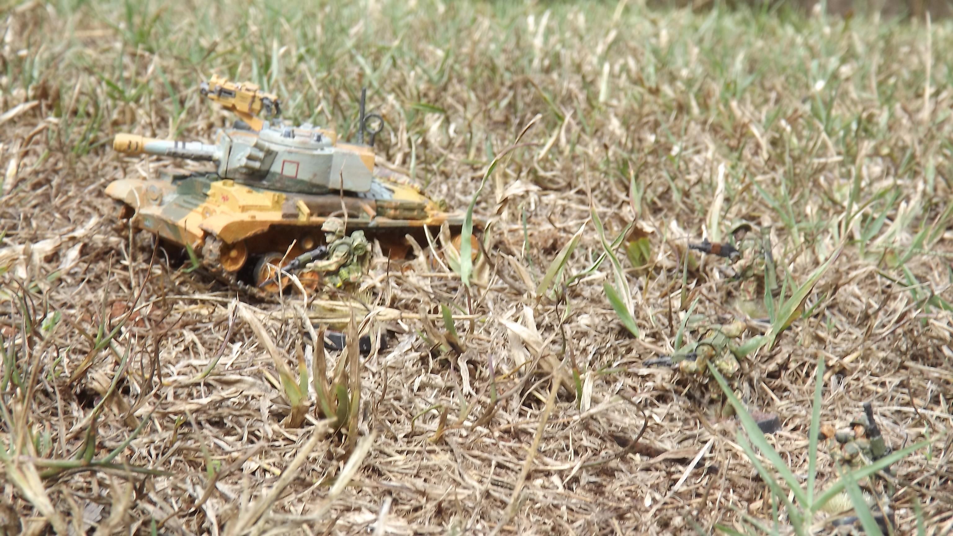 Battle Tank, Blood And Skulls, Conqueror Cannon, Conversion, Valentine Tank