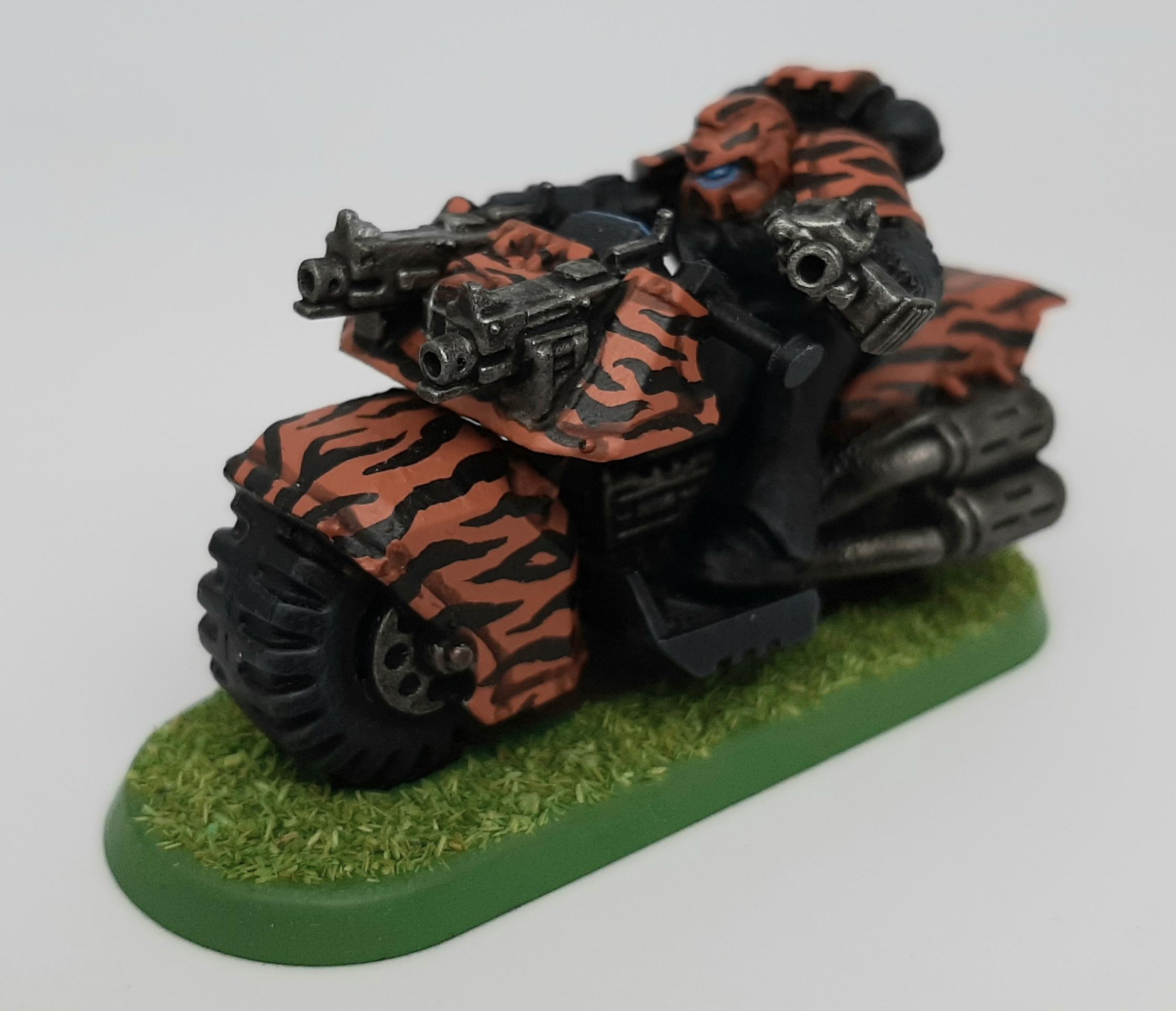 Adeptus, Assault, Astartes, Attack, Bike, Camouflage, Conversion, Custom, Fast, Fighting, Forest, Ghuyarashtra, Jungle, Kitbash, Mahaduyana, Space, Space Marines, Tigers, Veda