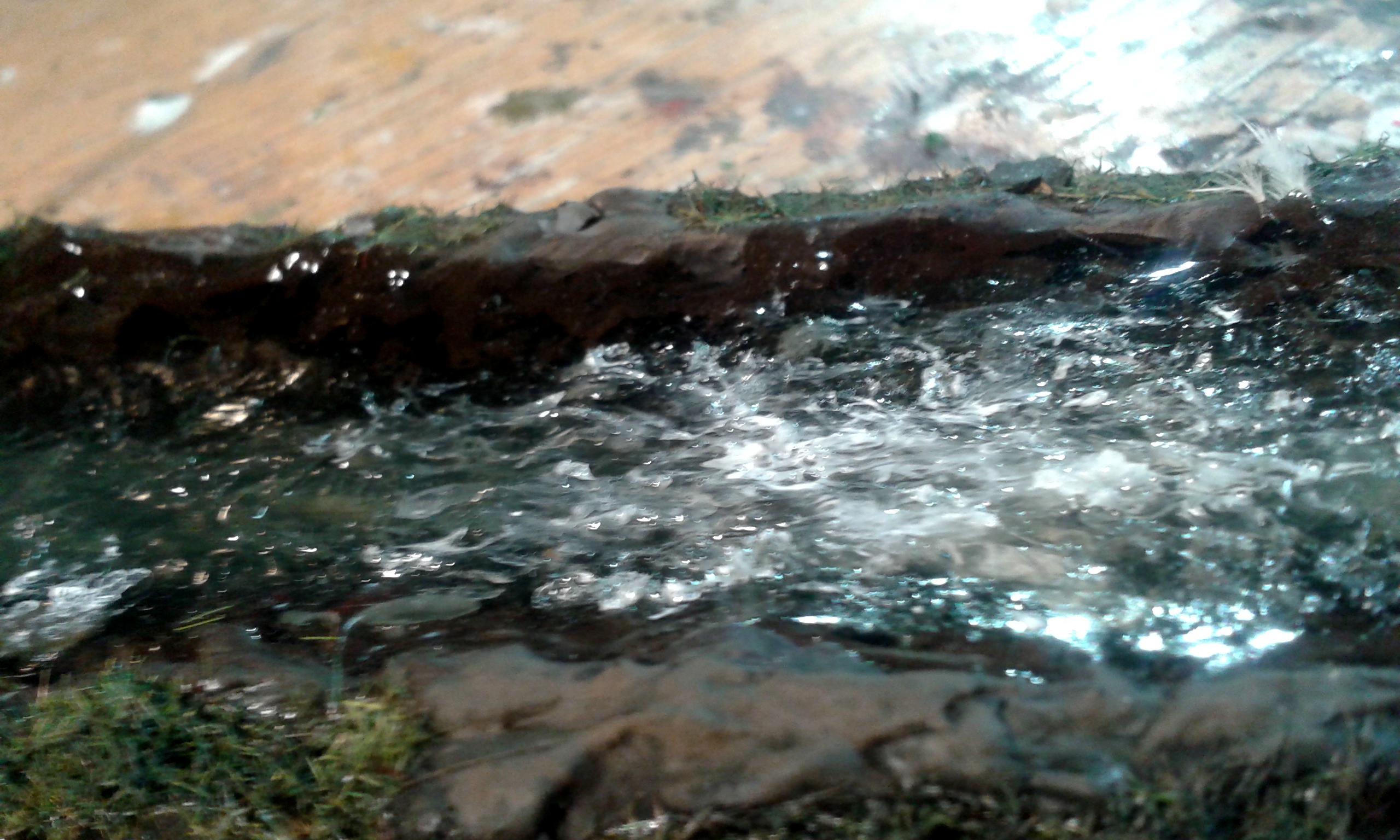 Orsino's River 2