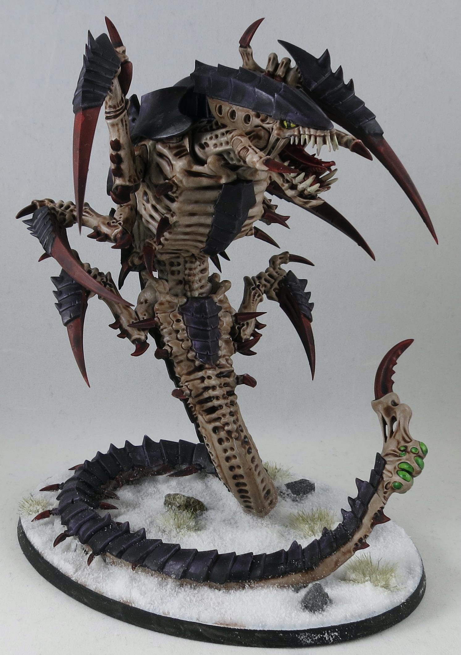 Trygon