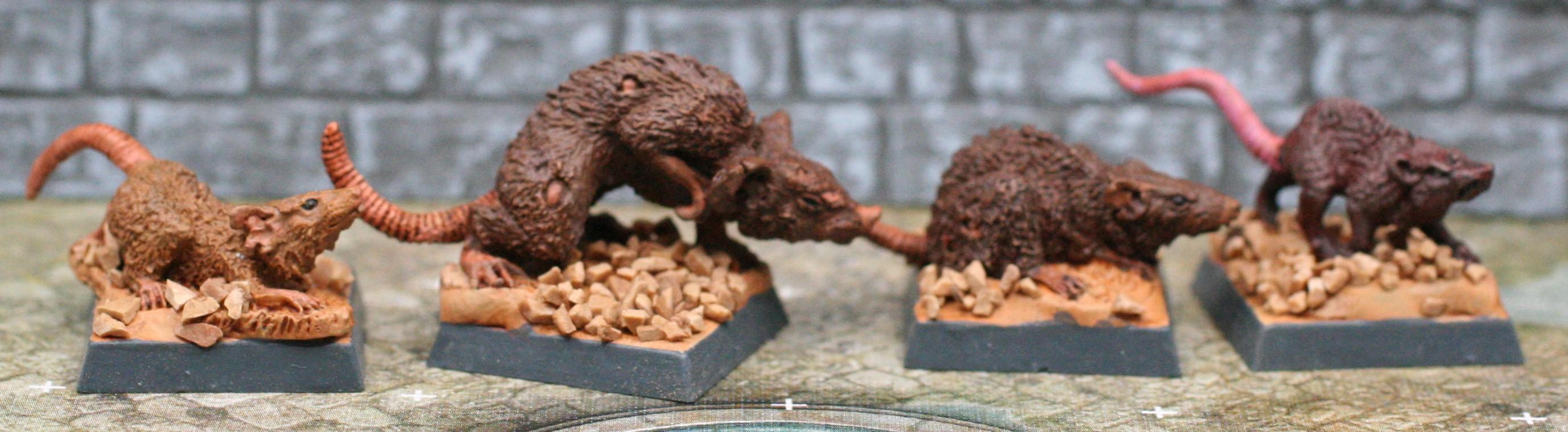 Citadel Giant Rats