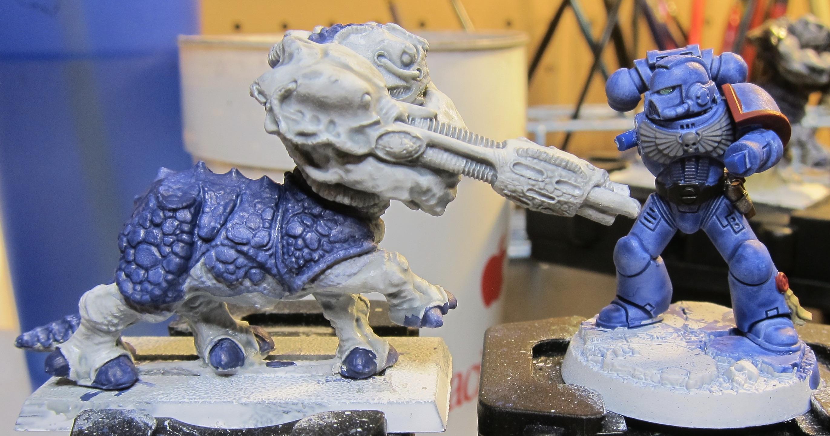 2-13 wip