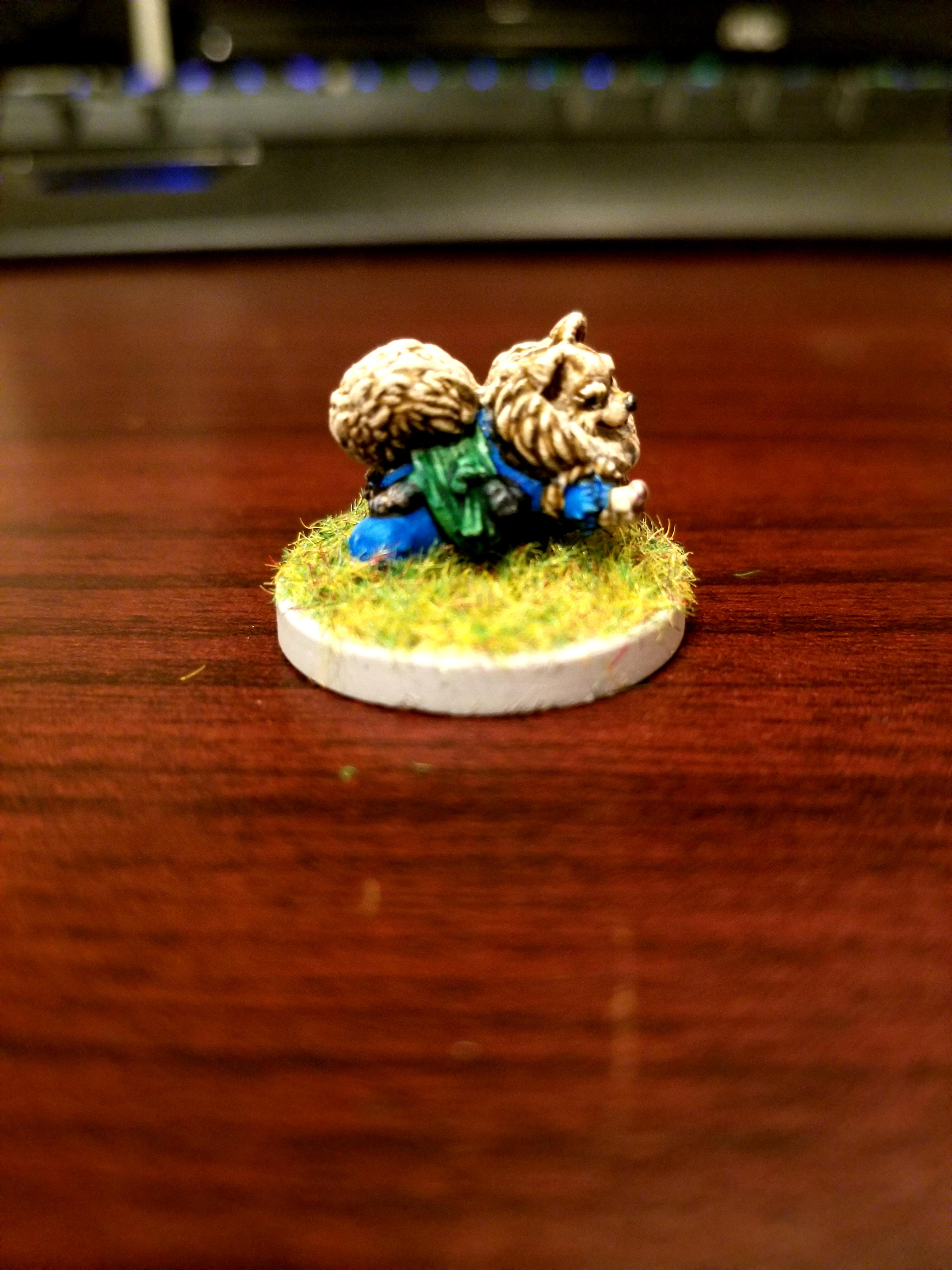 Dndoggies, Dungeons And Dragons, Monk, Pomeranian