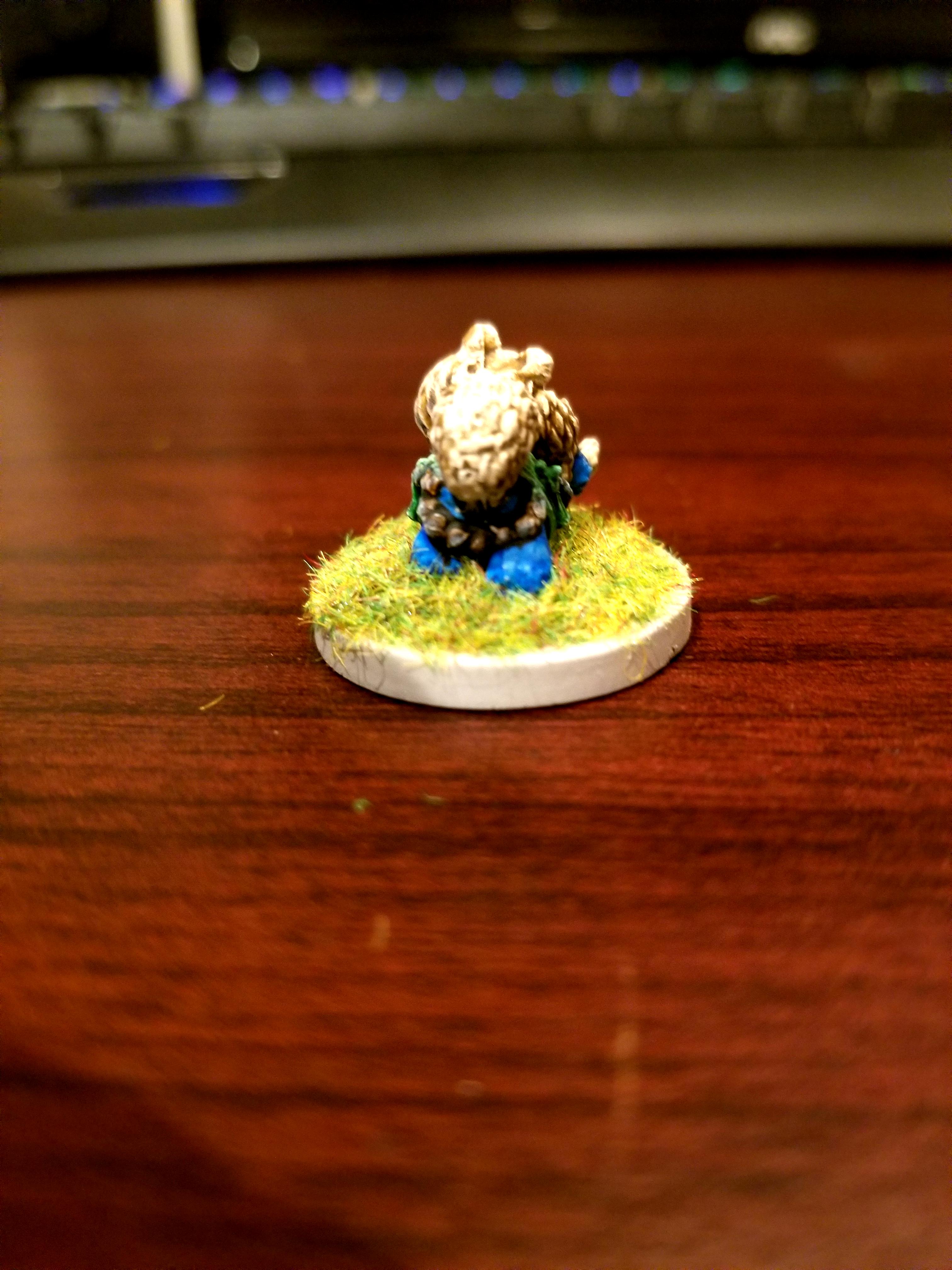 Dndoggies, Dungeons And Dragons, Monk, Pomeranian
