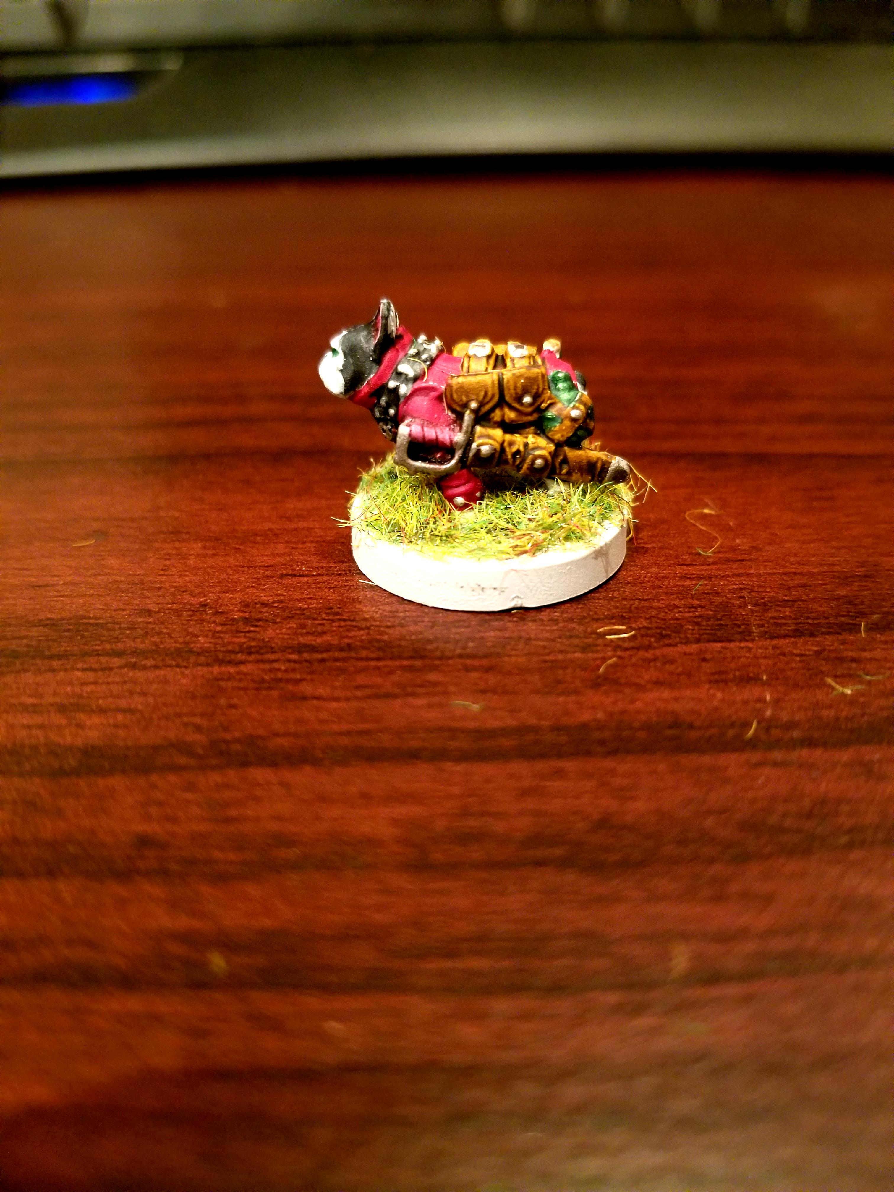 Dndoggies, Dungeons And Dragons, Fighter, French Bulldog