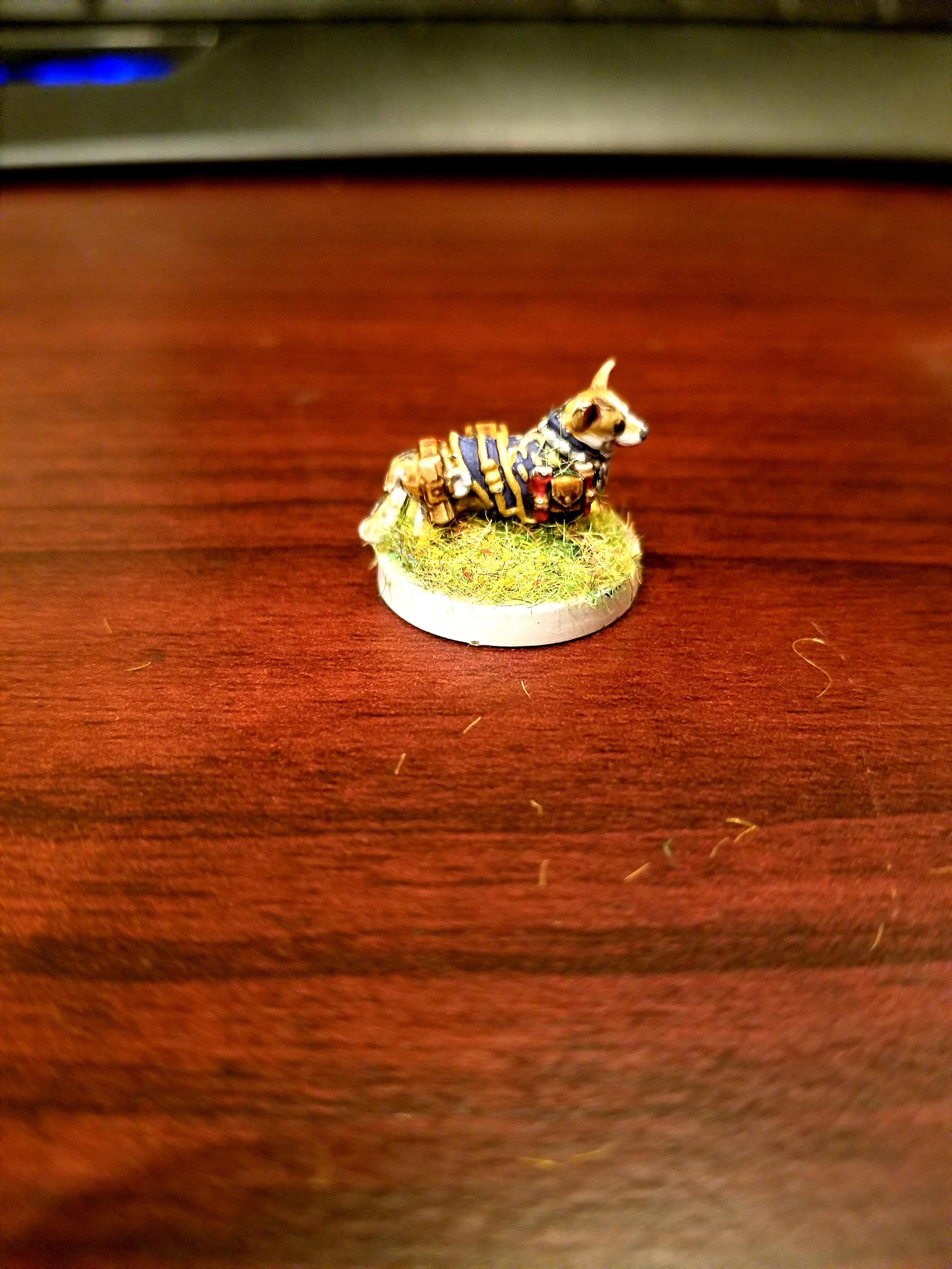 Corgi, Dndoggies, Dungeons And Dragons, Warlock