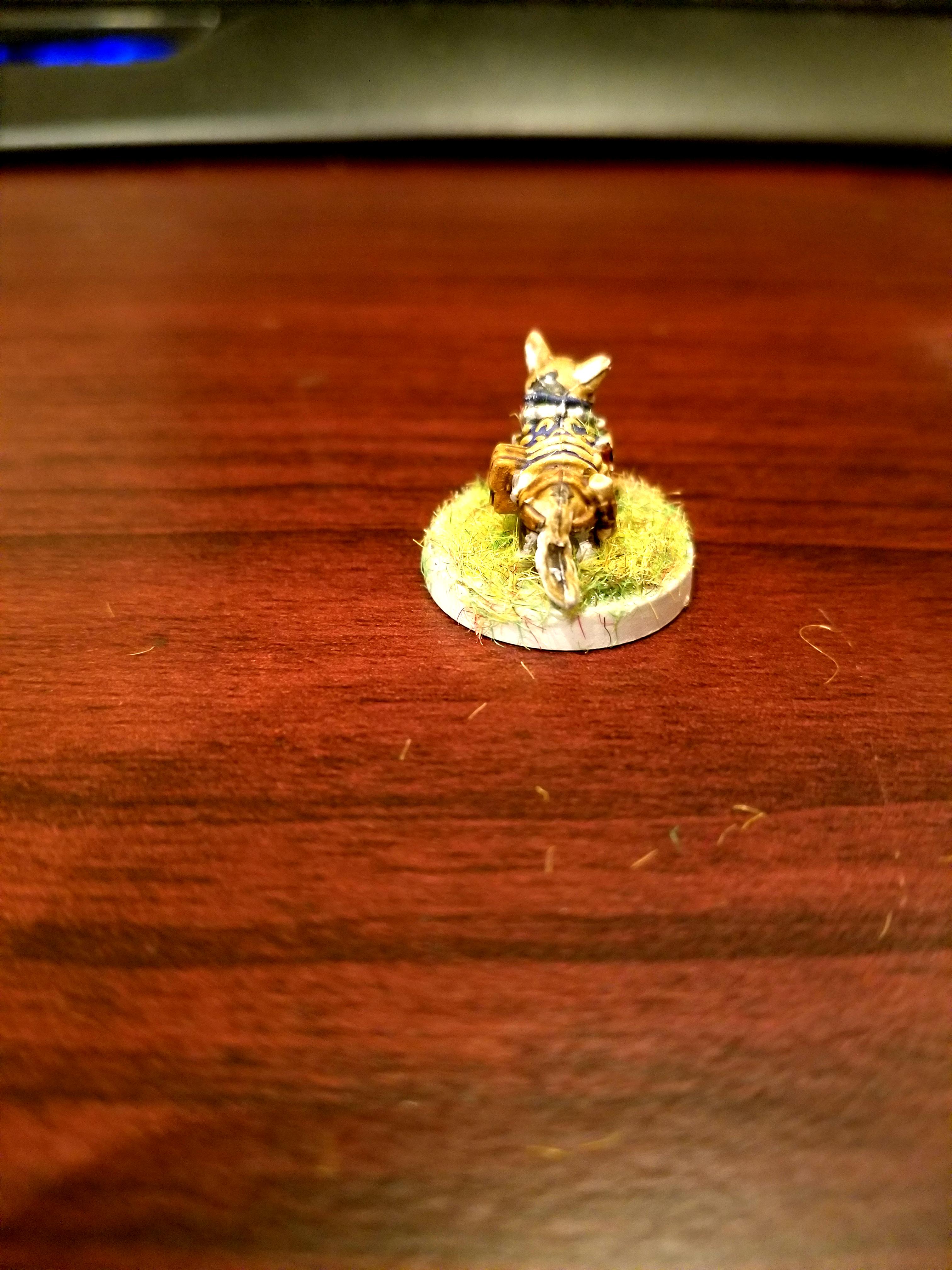 Corgi, Dndoggies, Dungeons And Dragons, Warlock