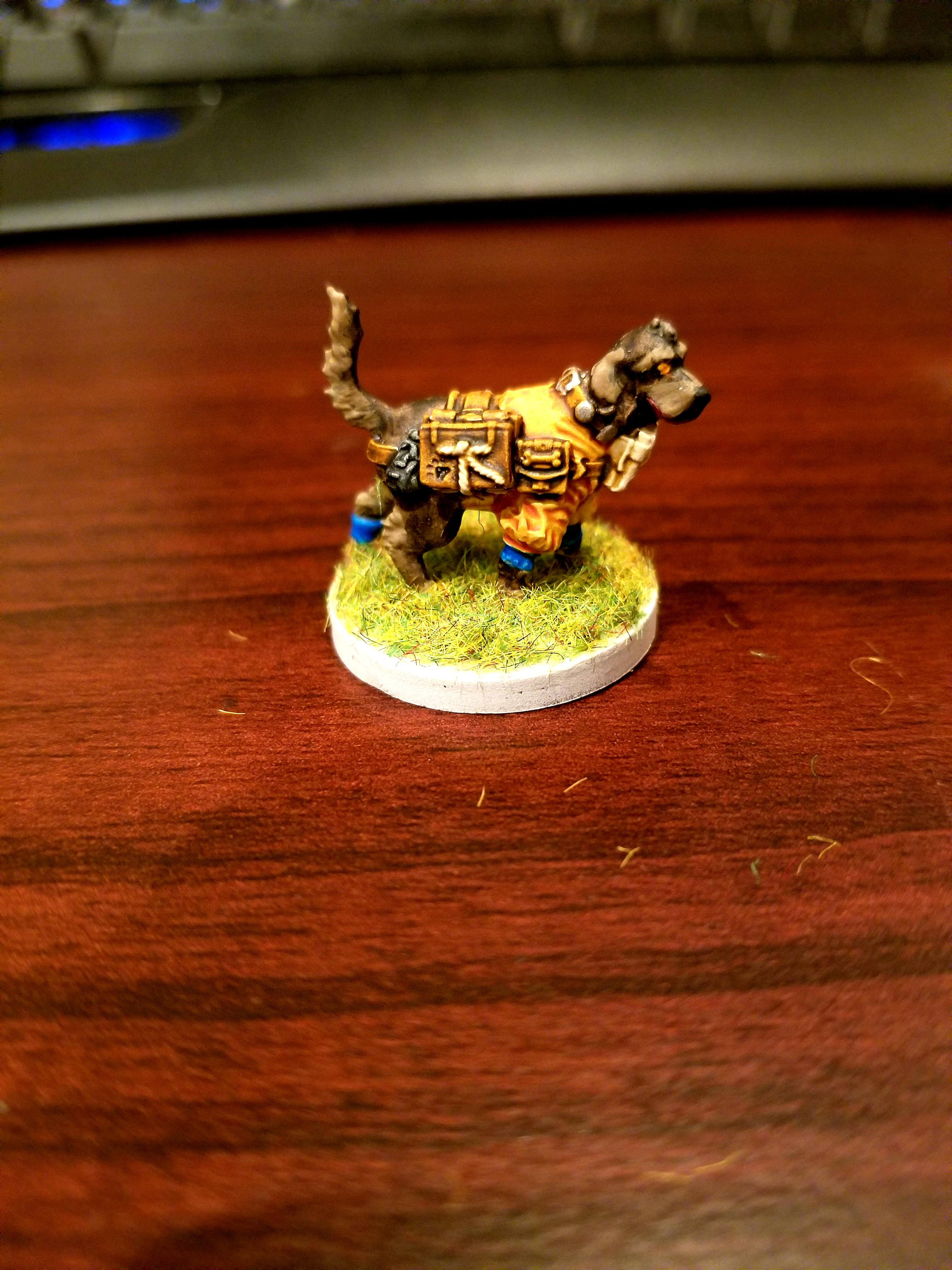 Bard, Cocker Spaniel, Dndoggies, Dungeons And Dragons