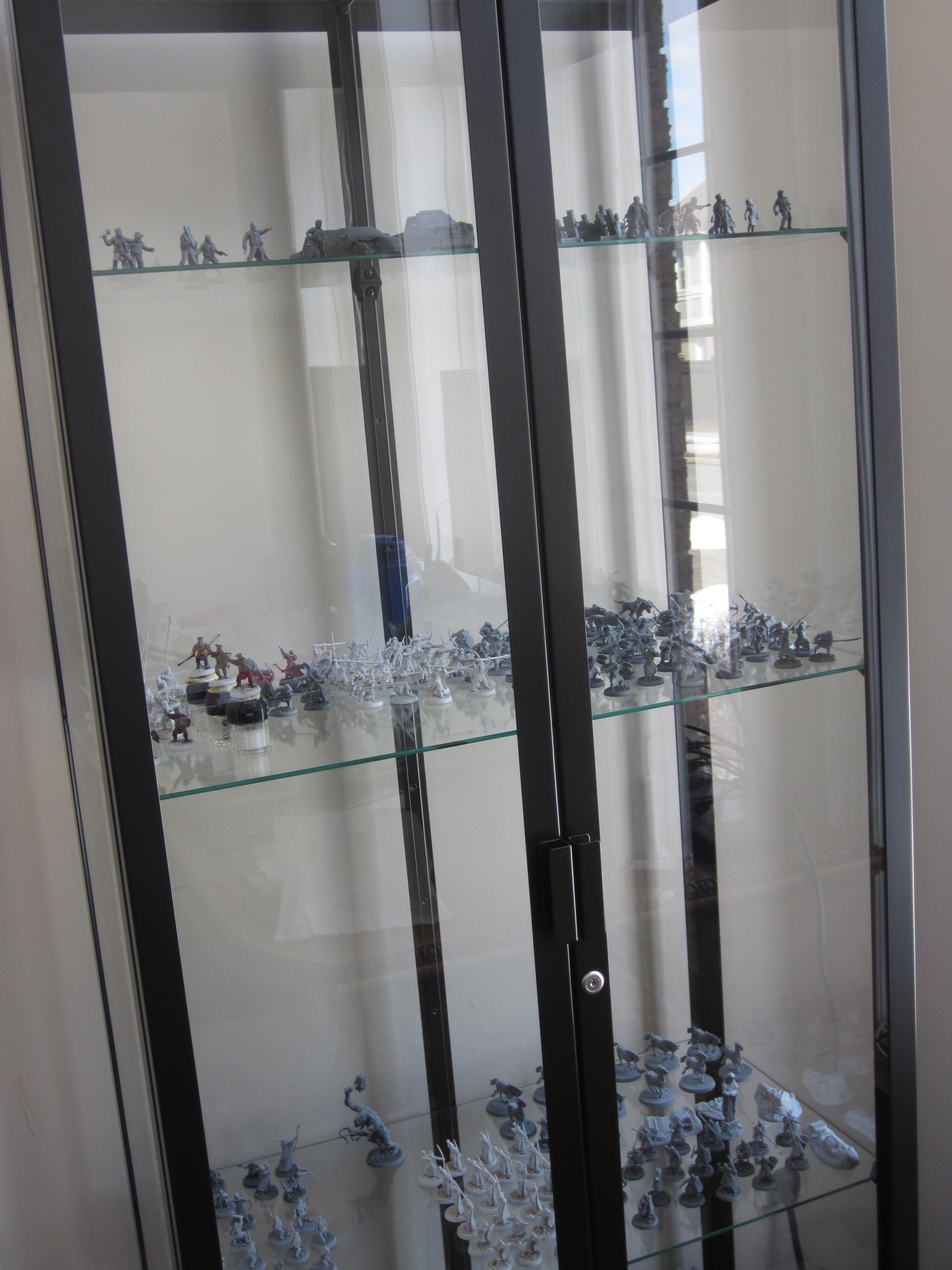 Display Case 3