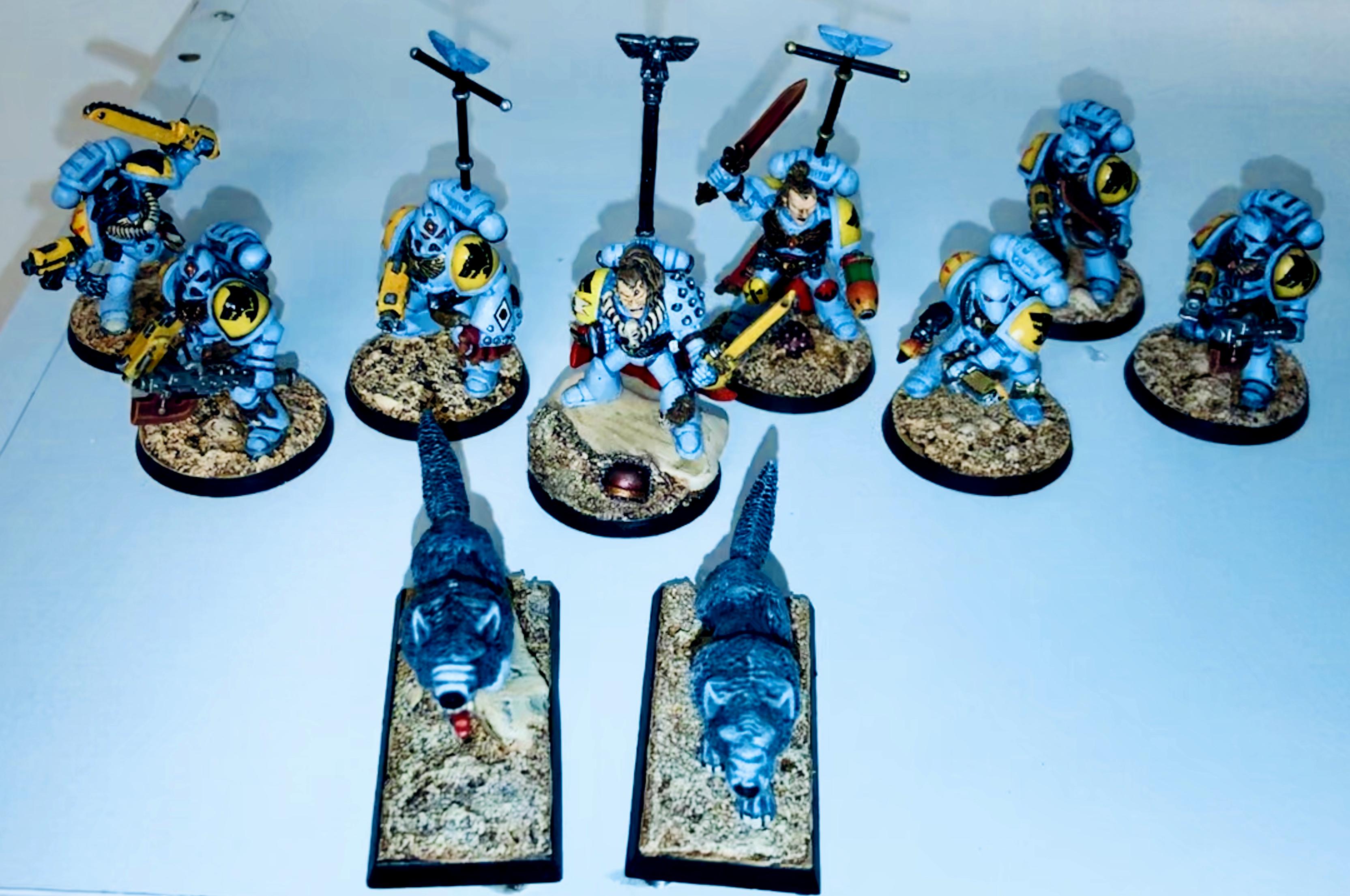 2nd Edition, Blood Class, Freki, Geri, Leman Russ, Space Wolves, Warhammer 40,000, Wolf Guard