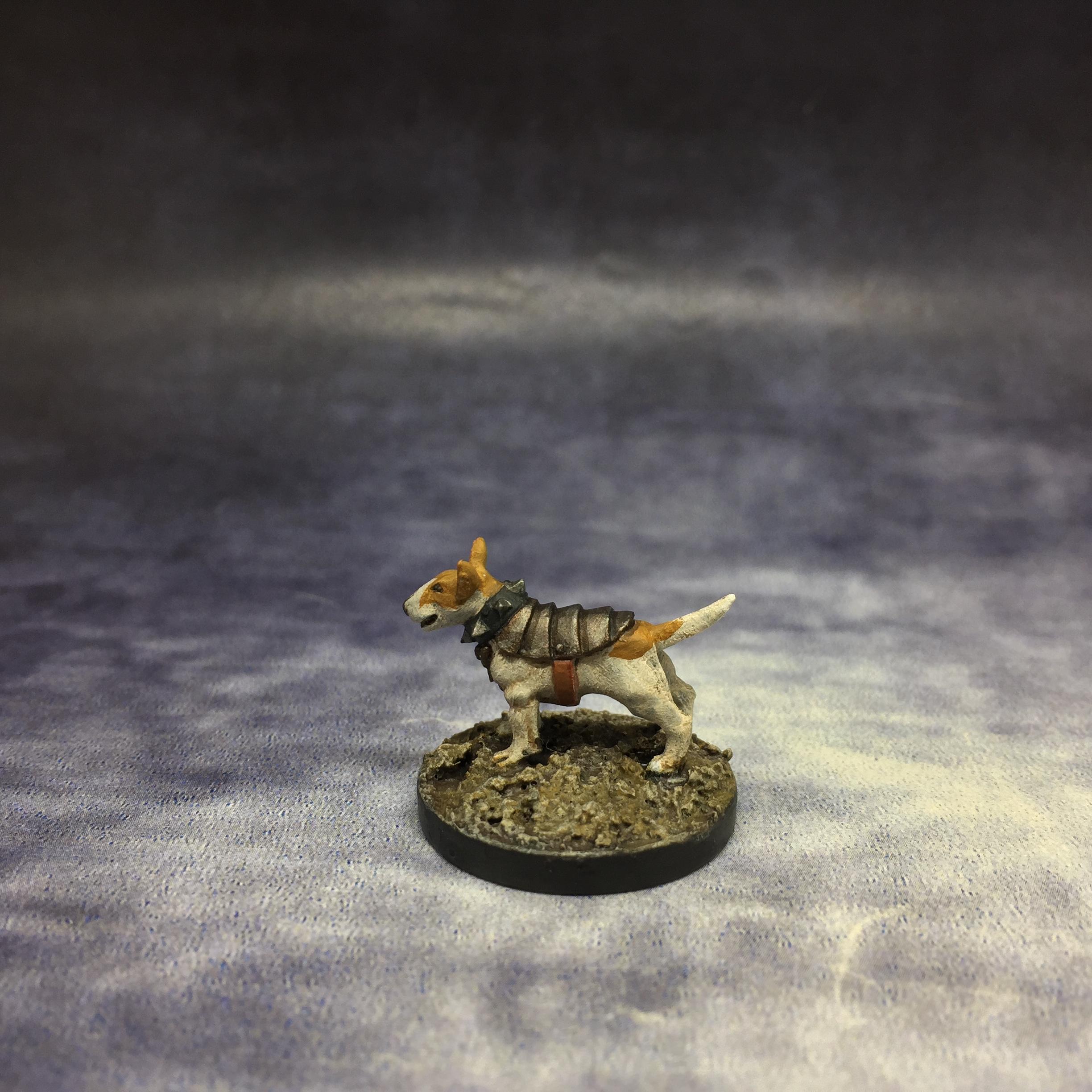 Battle Jack, Dog, February 2020, Frostgrave, Good Boy, Northstar, Warhound